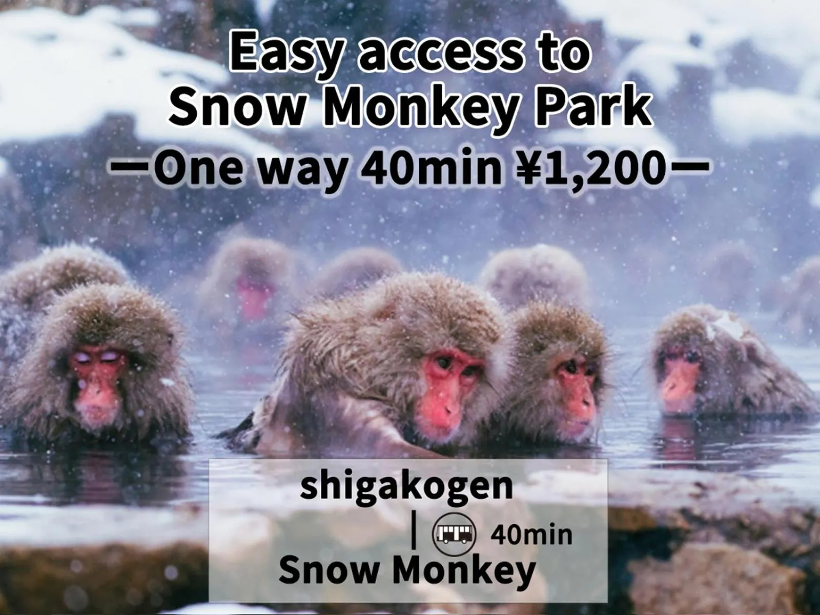 Nearby landmark in Shiga Swiss Inn