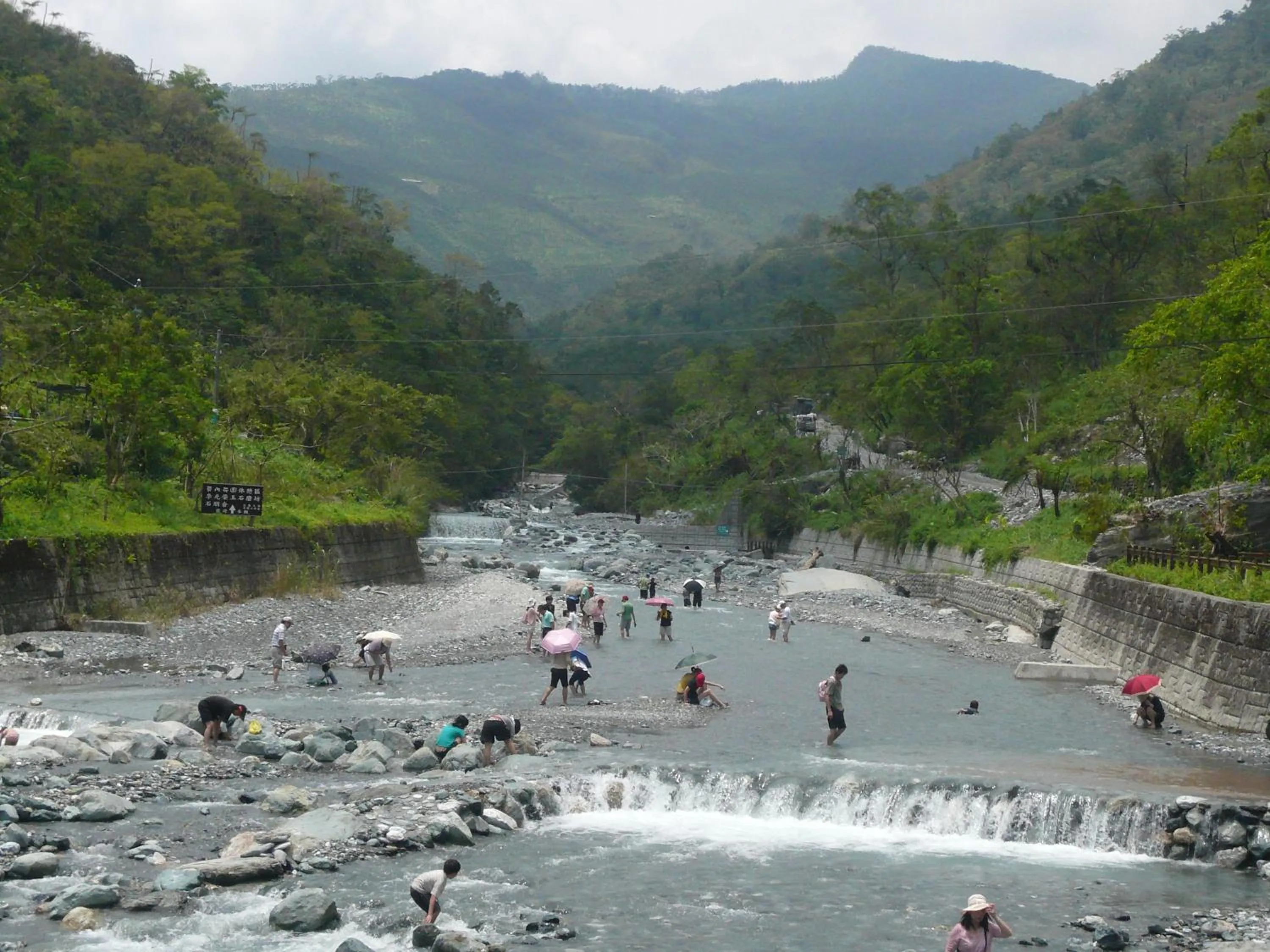 Monet Garden Coffee Farm