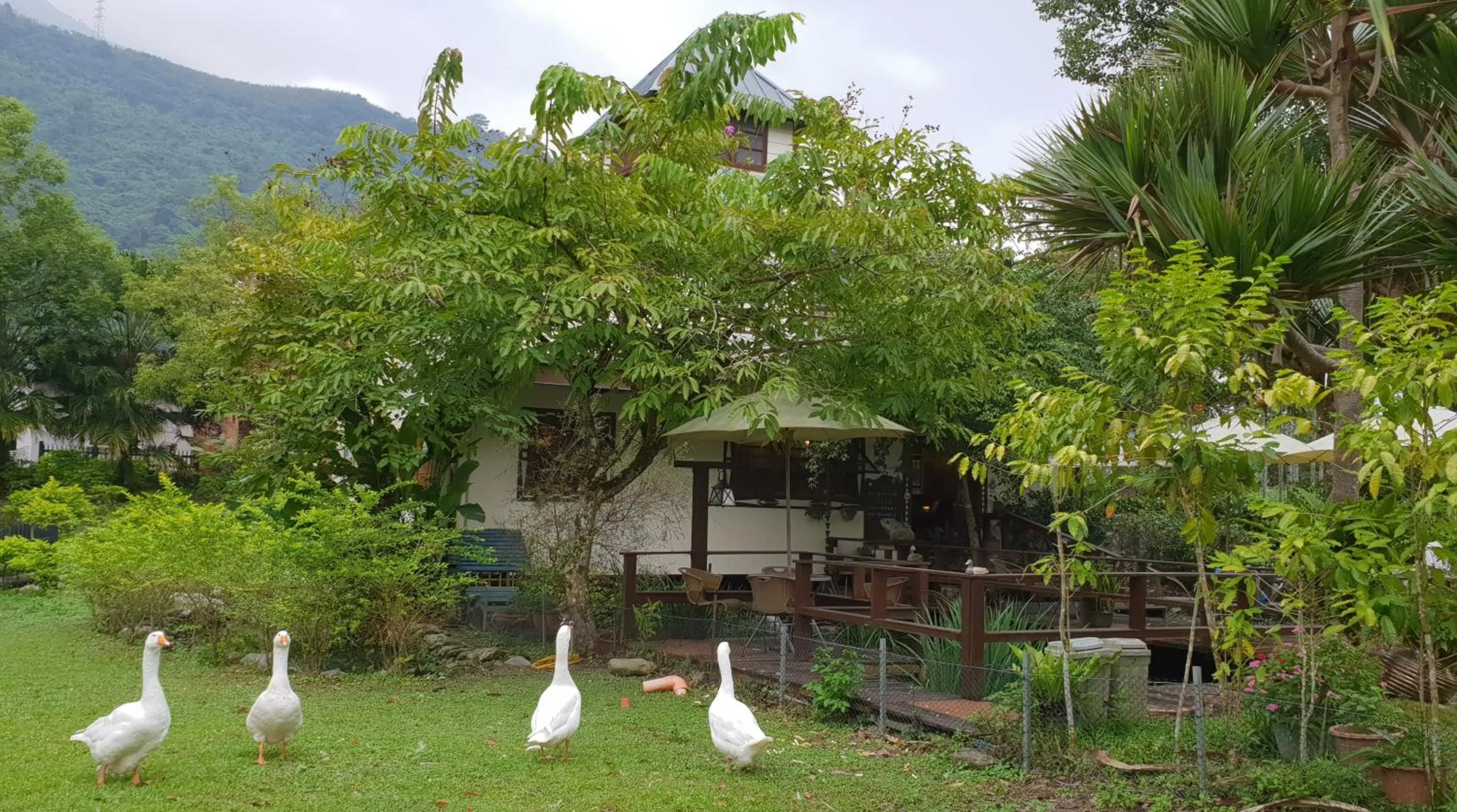 Monet Garden Coffee Farm