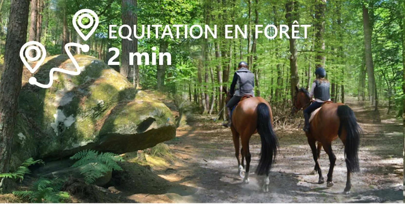 Activities in Kabanéo - gîte et sauna- Samois sur Seine - Forêt de Fontainebleau