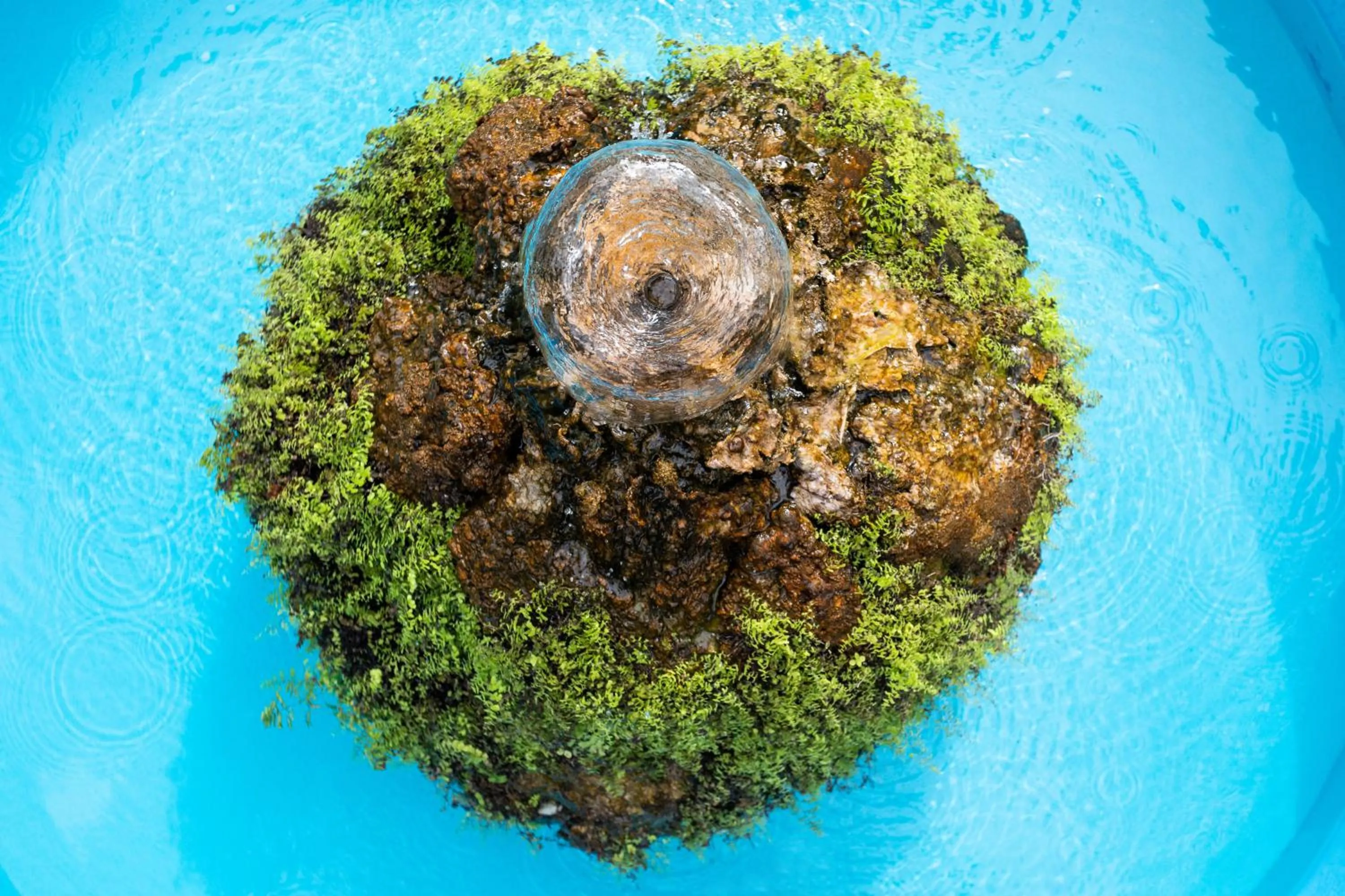 Garden in Residencial El Llano