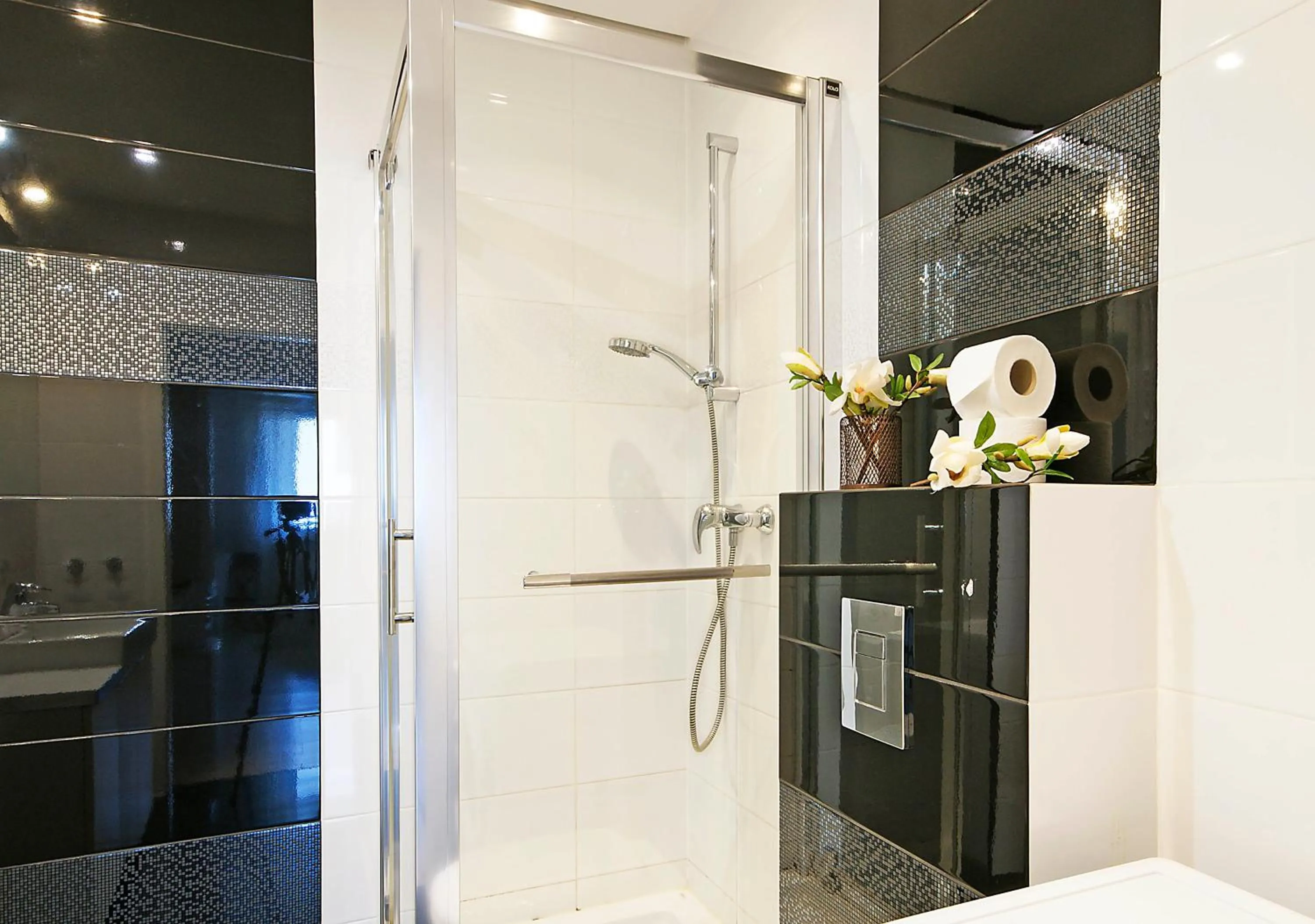 Shower in IRS ROYAL APARTMENTS Apartamenty IRS Albatros