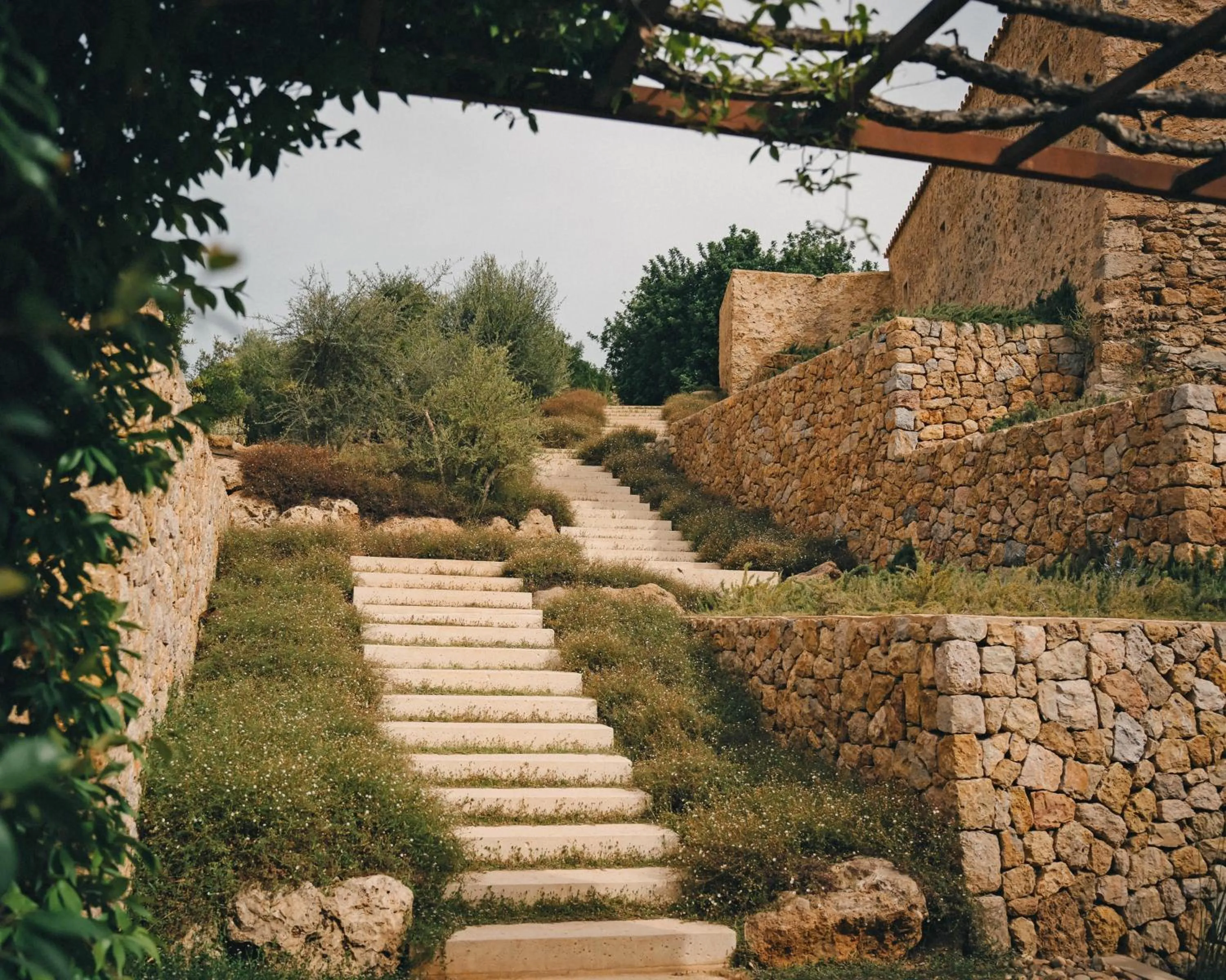 Garden view in Es Raco d'Arta, Mallorca, a Member of Design Hotels
