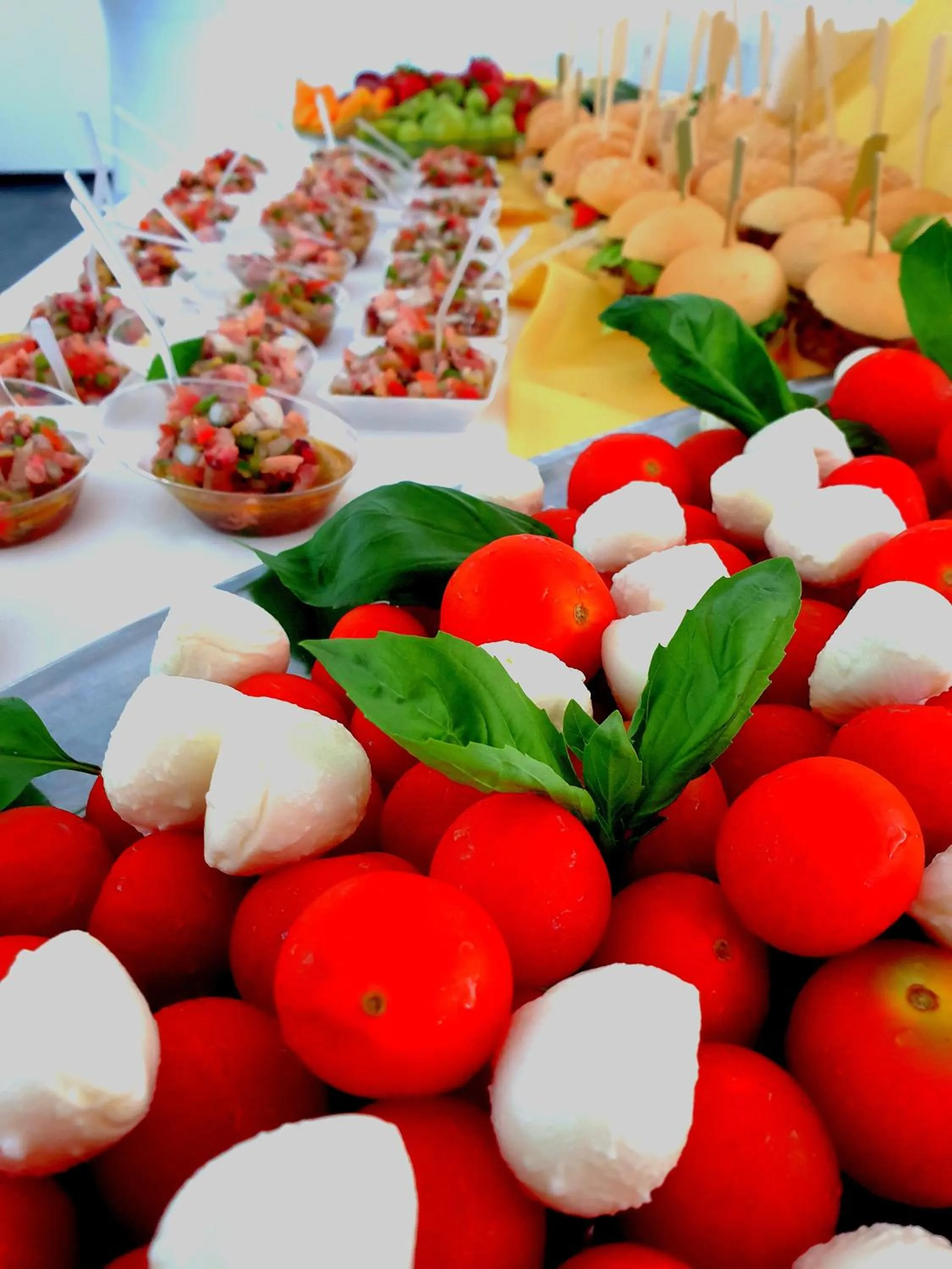 Food and drinks in Hotel Galaksija Trebnje