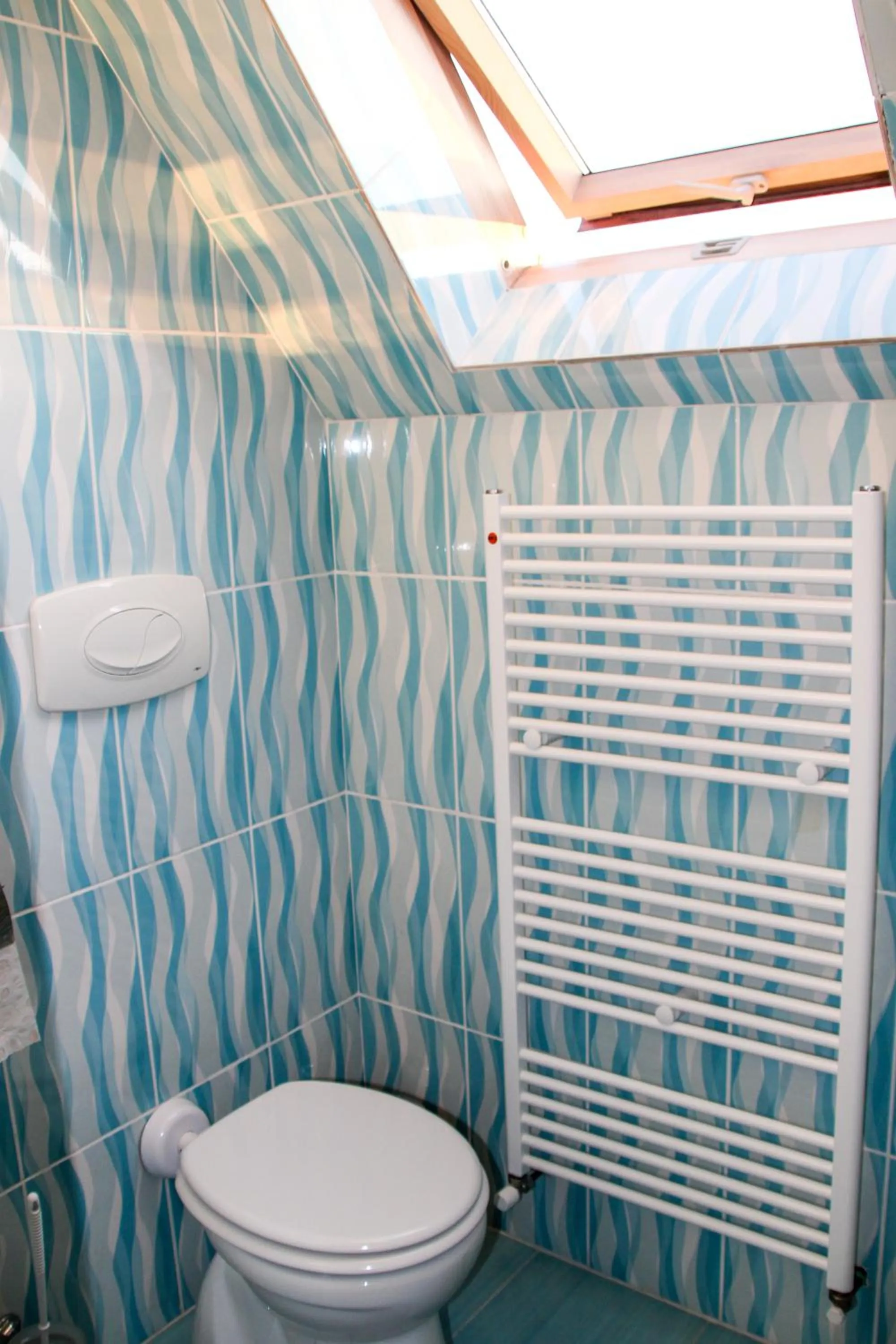 Shower in Hotel Corina