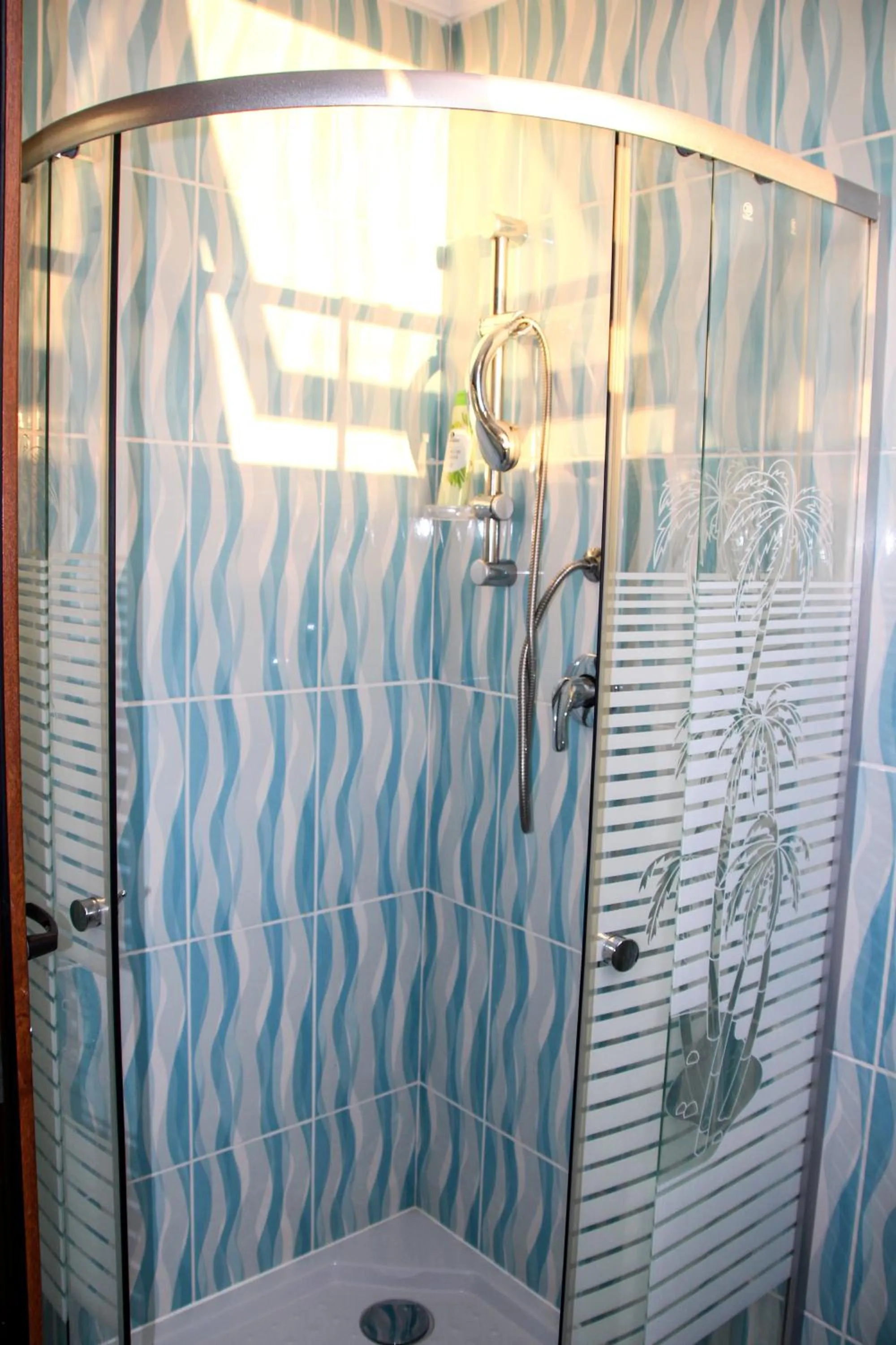 Shower in Hotel Corina