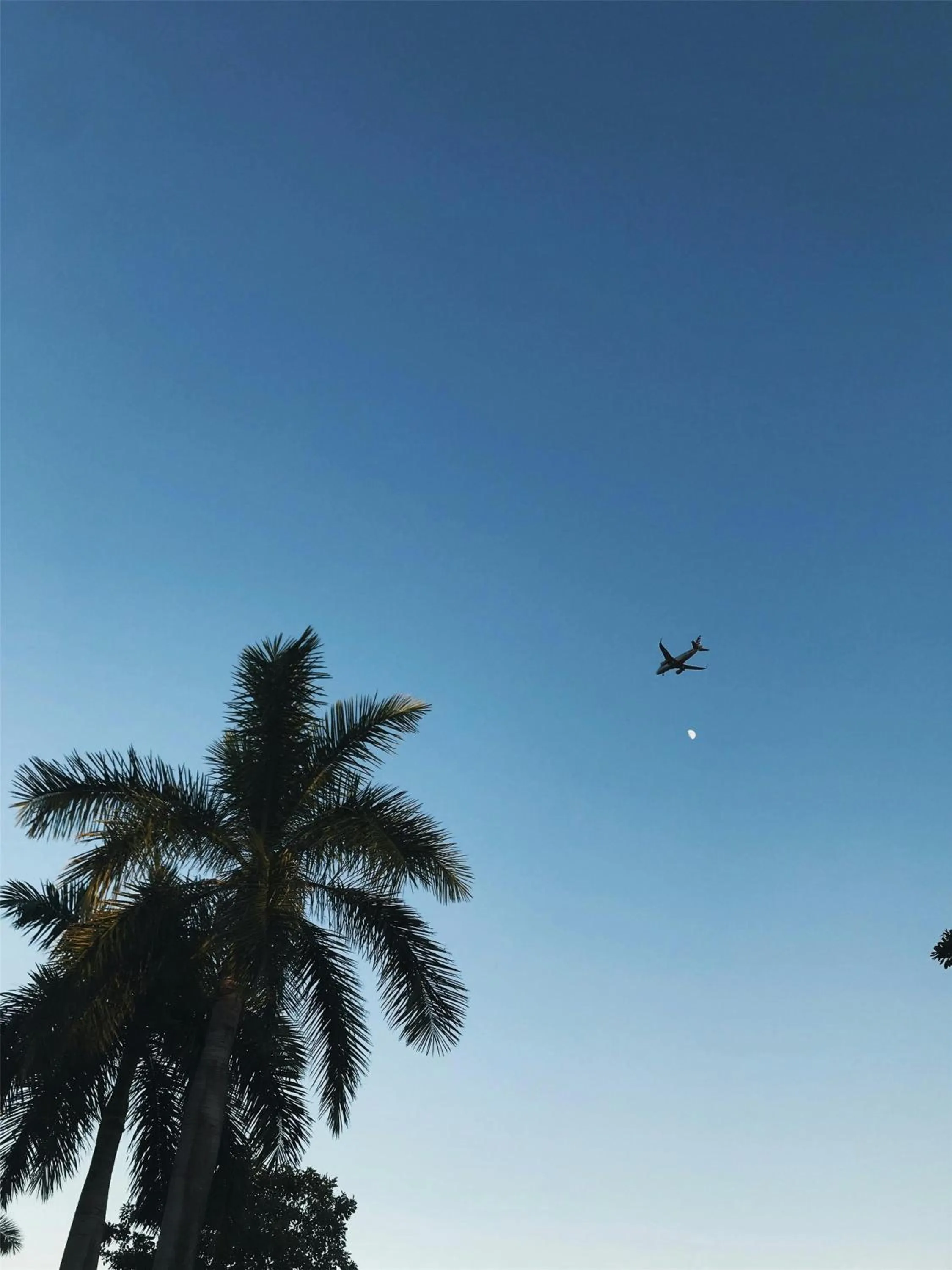 Location in Hyatt Regency Los Angeles International Airport