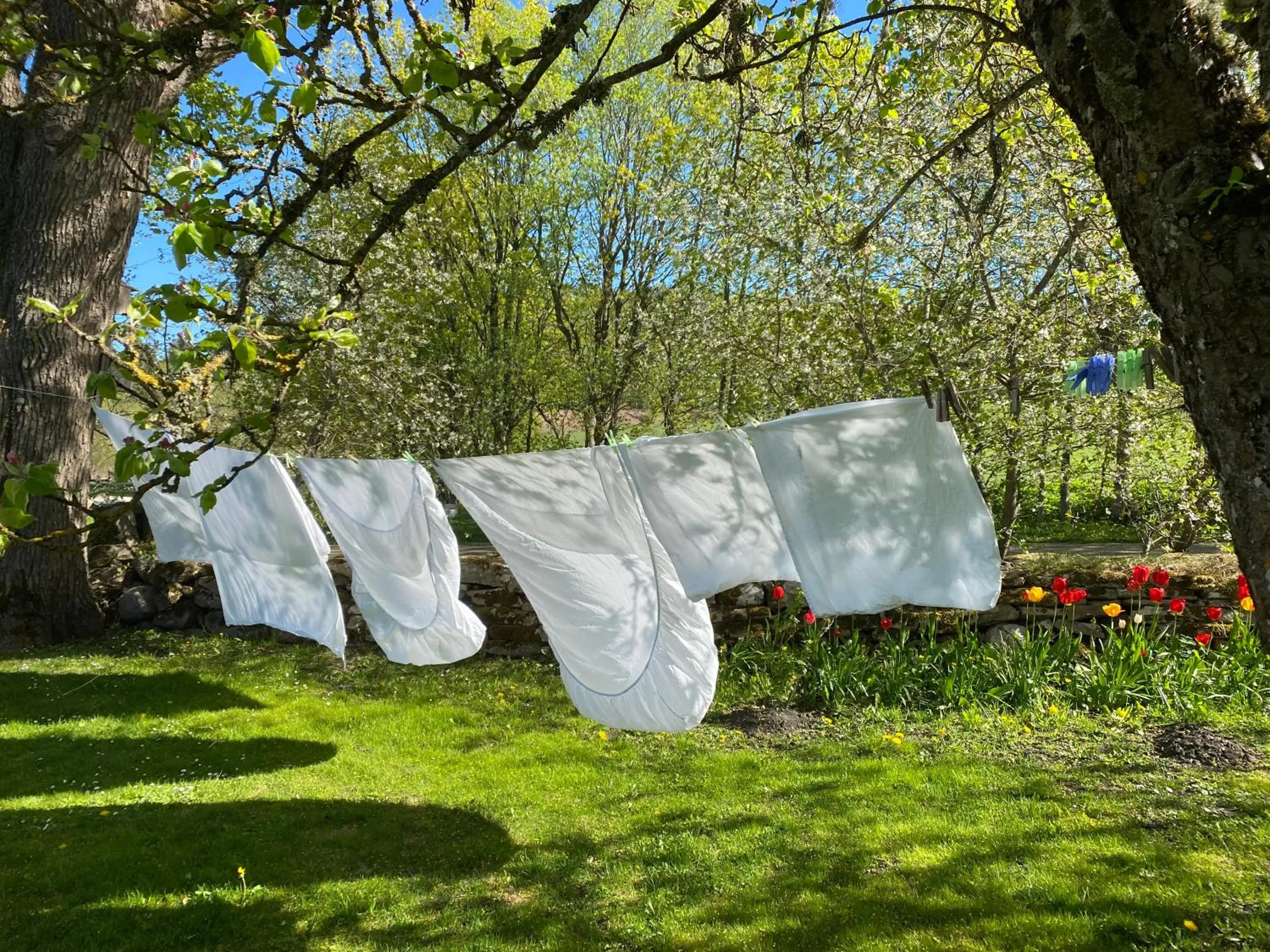 Garden in Stenbrottets lillstuga