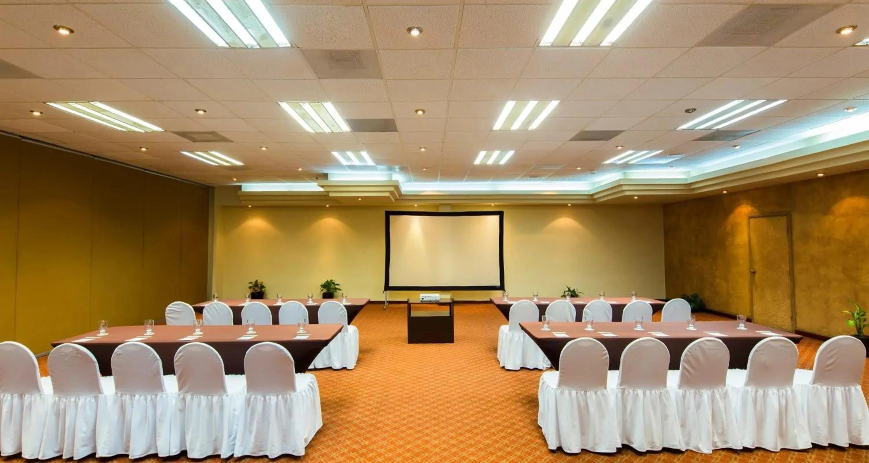 Business facilities in Cabo La Estancia