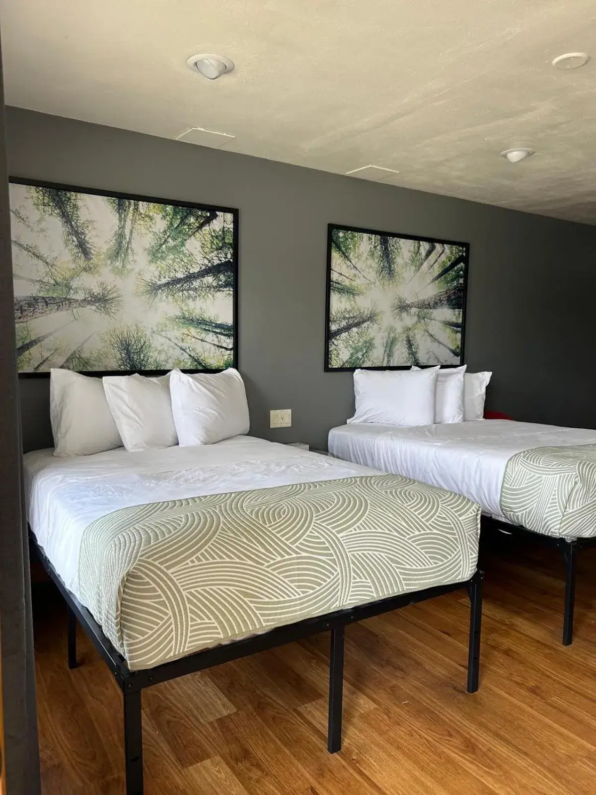 Double Room - Non-Smoking in Valued Stay Mayflower Double Room - Non-Smoking in Valued Stay Mayflower