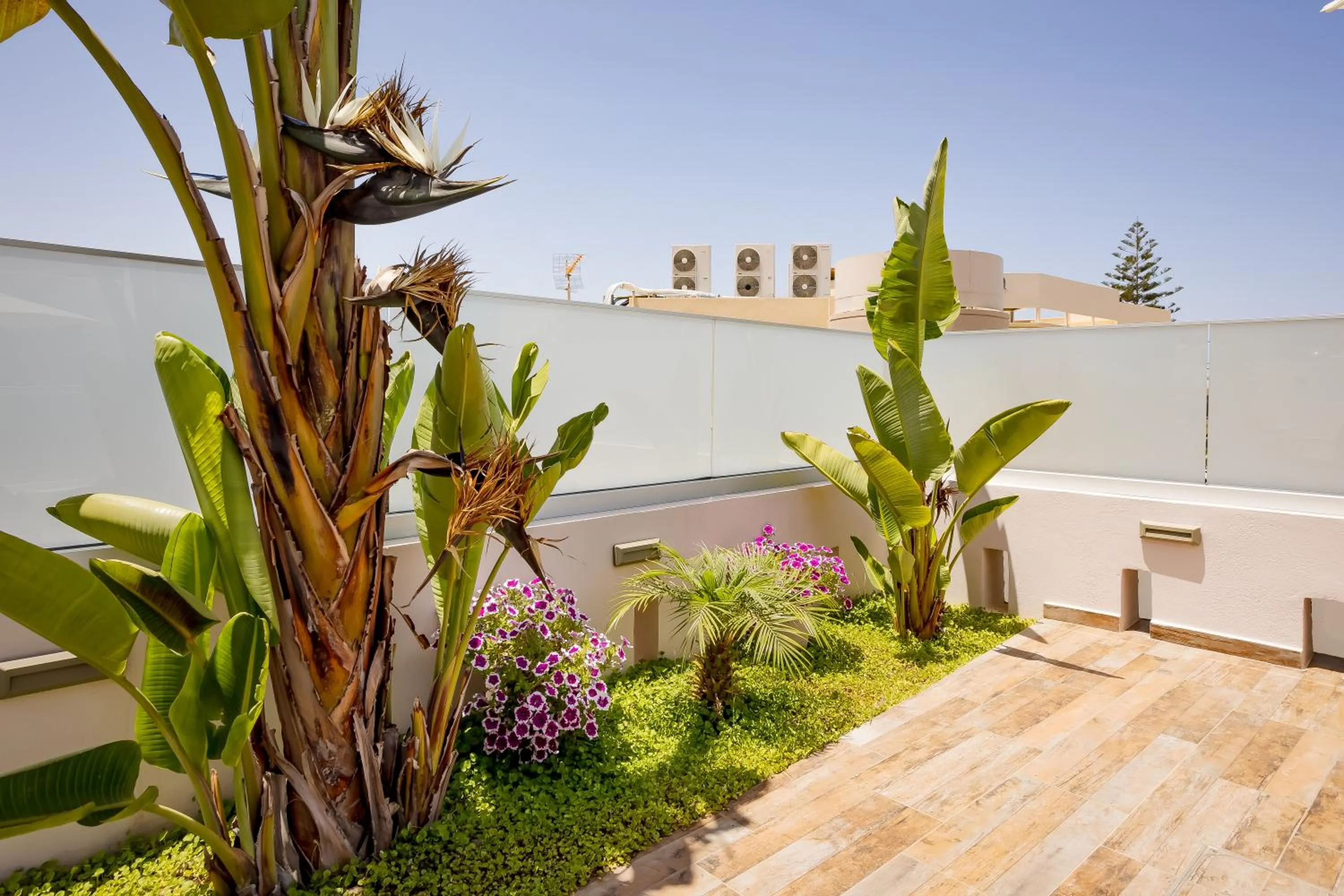 Garden in Sarpidon Suites