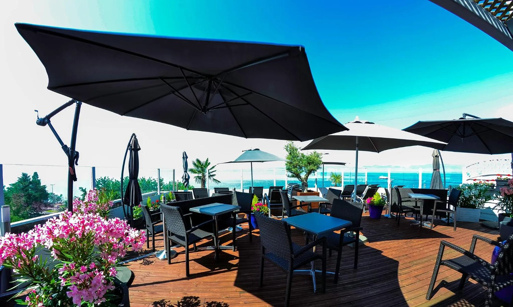 Restaurant/places to eat in Savoy Hôtel Evian