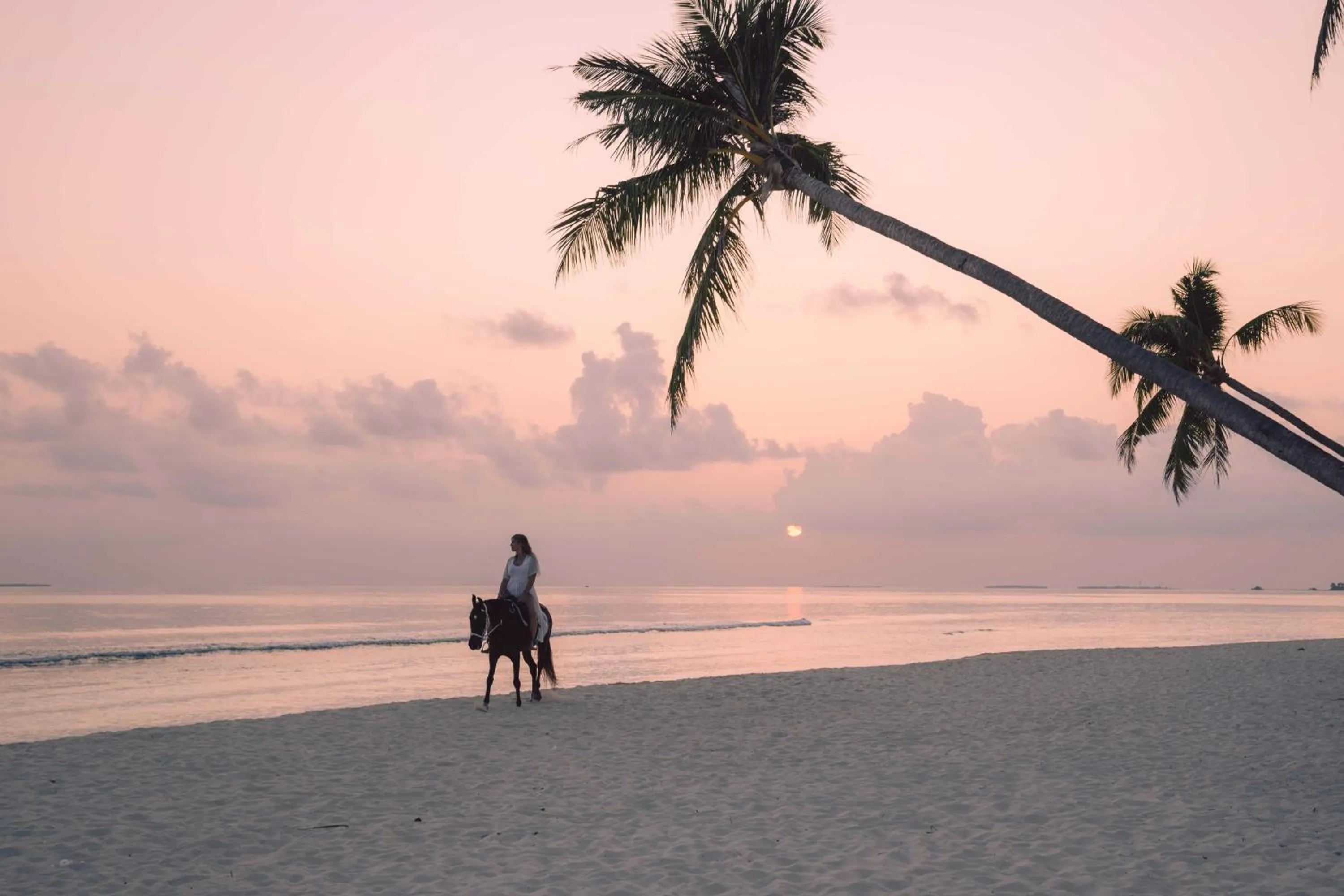 Horse-riding in Siyam World Maldives - 24-Hour Premium All-inclusive with Free Transfer