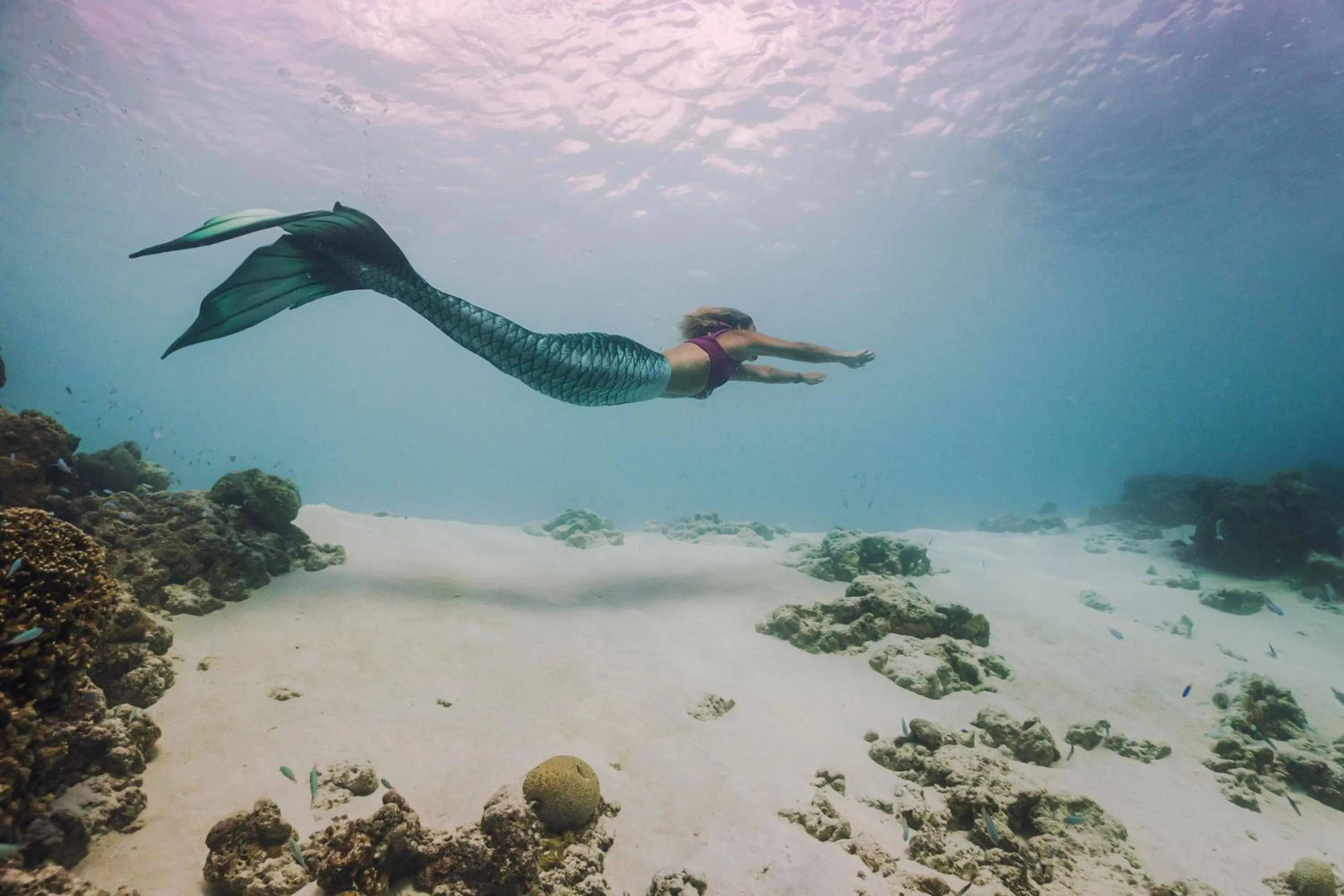 Activities in Siyam World Maldives - 24-Hour Premium All-inclusive with Free Transfer