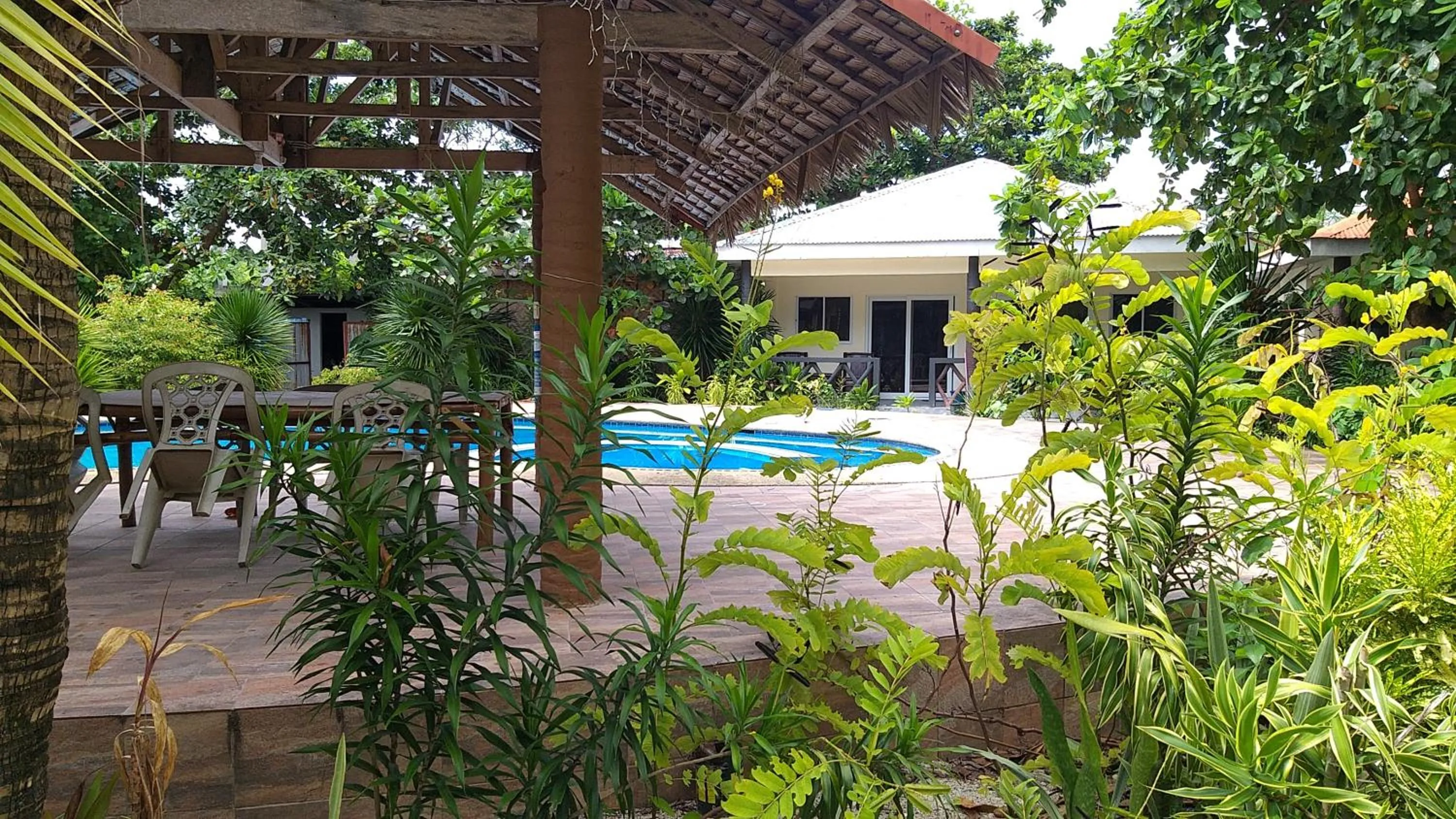 Patio in The Shark's Tail Dive Resort