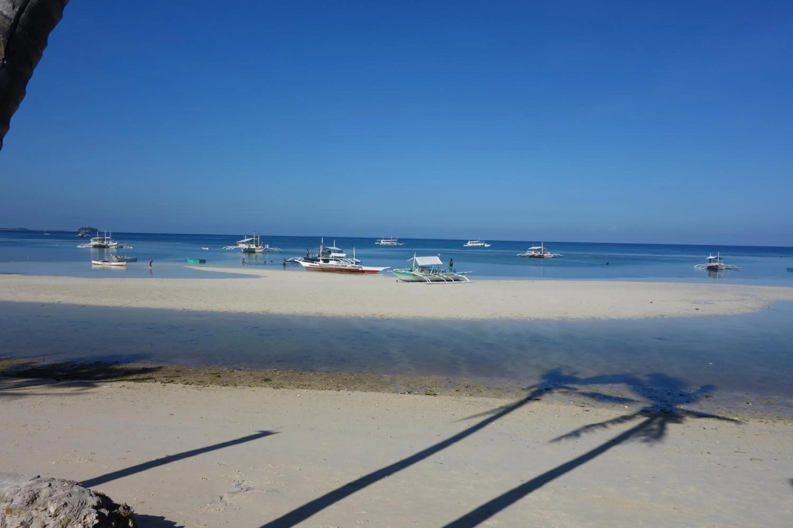 Beach in The Shark's Tail Dive Resort