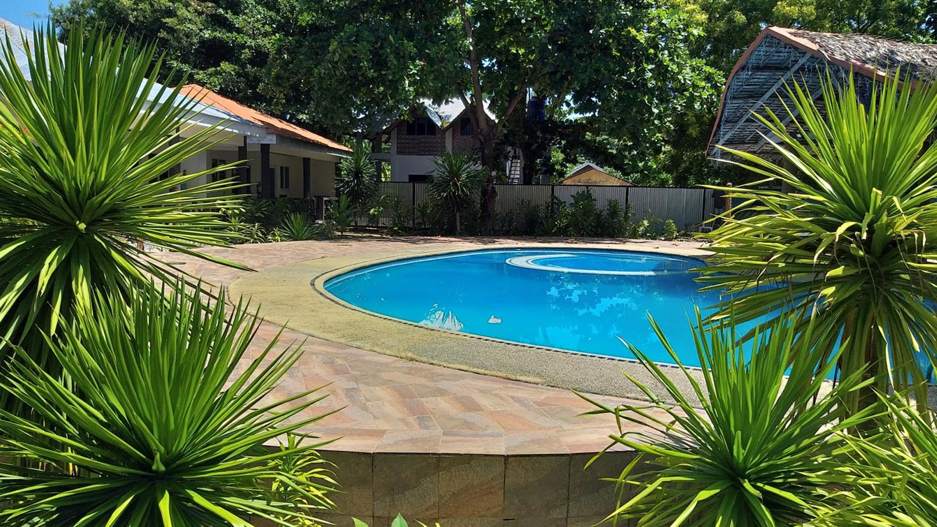 Swimming pool in The Shark's Tail Dive Resort