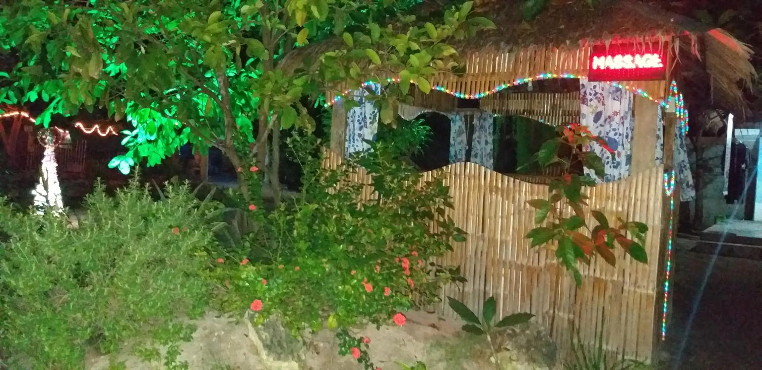 Garden in The Shark's Tail Dive Resort