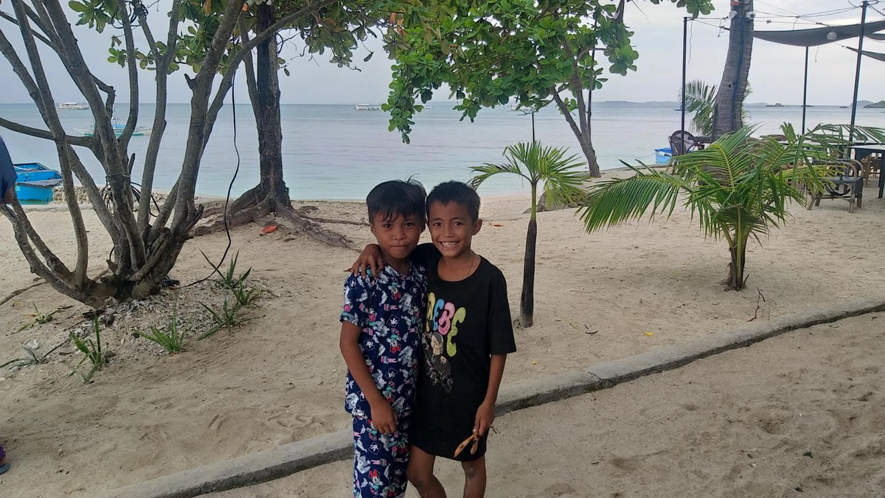 Beach in The Shark's Tail Dive Resort