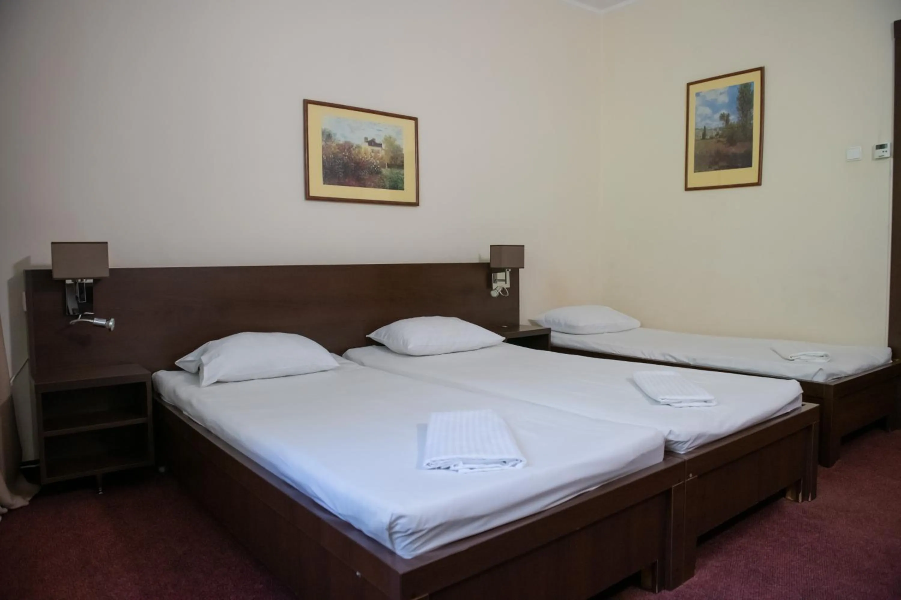 Bed in Hotel Panoramic