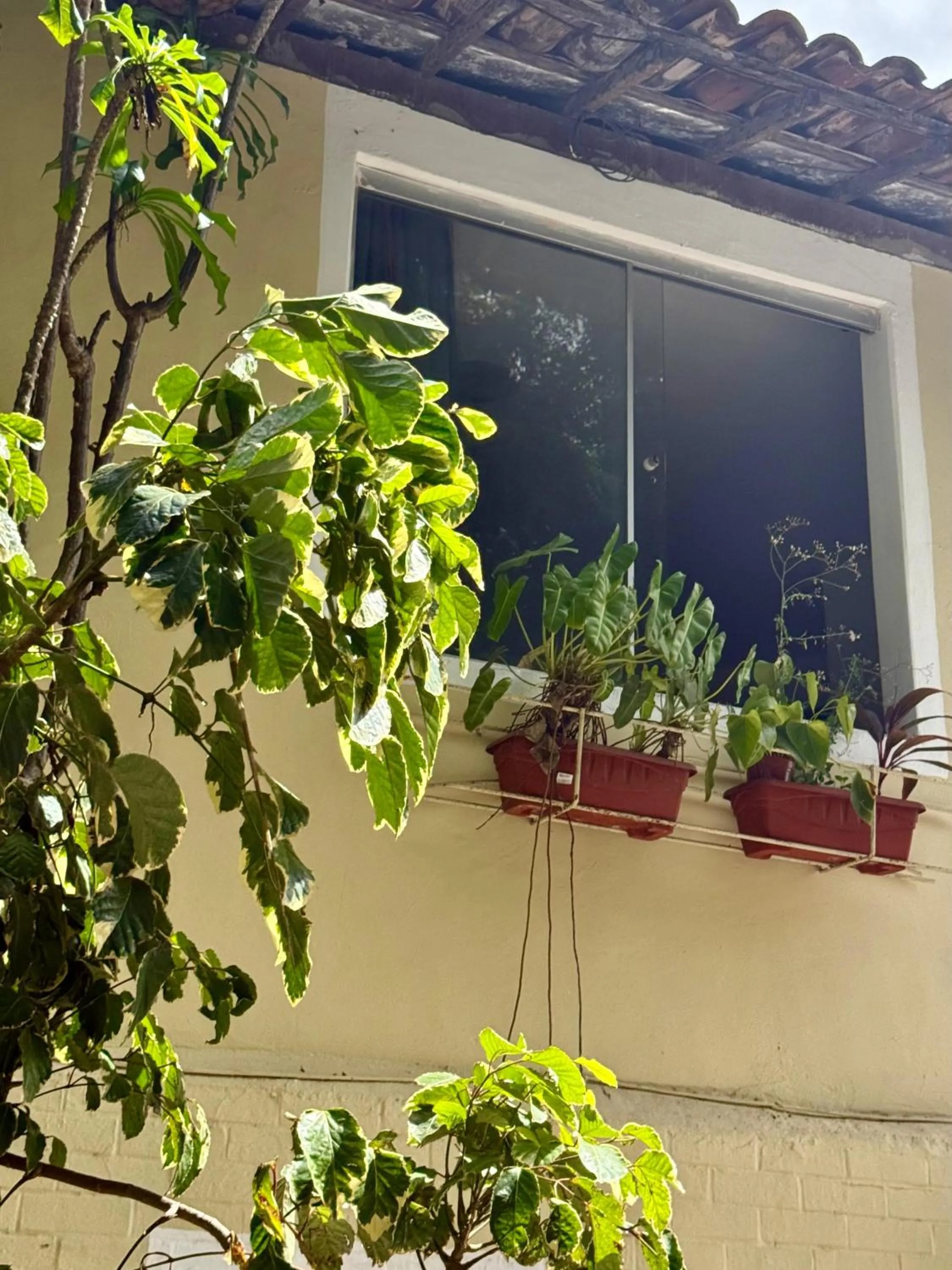 Property building in Cores da pipa flats