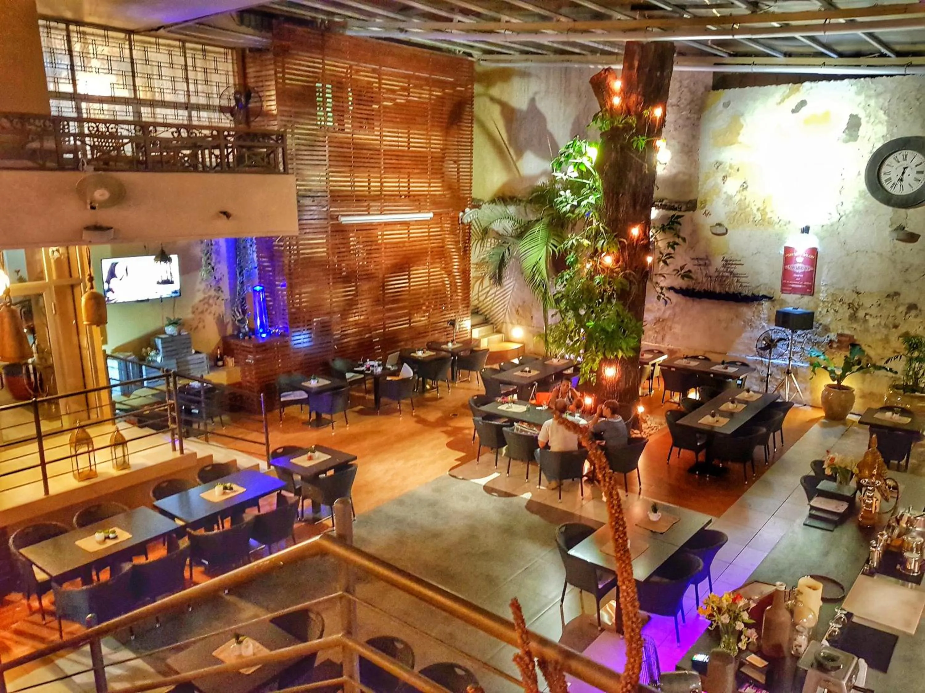 Garden in Allamanda Hotel