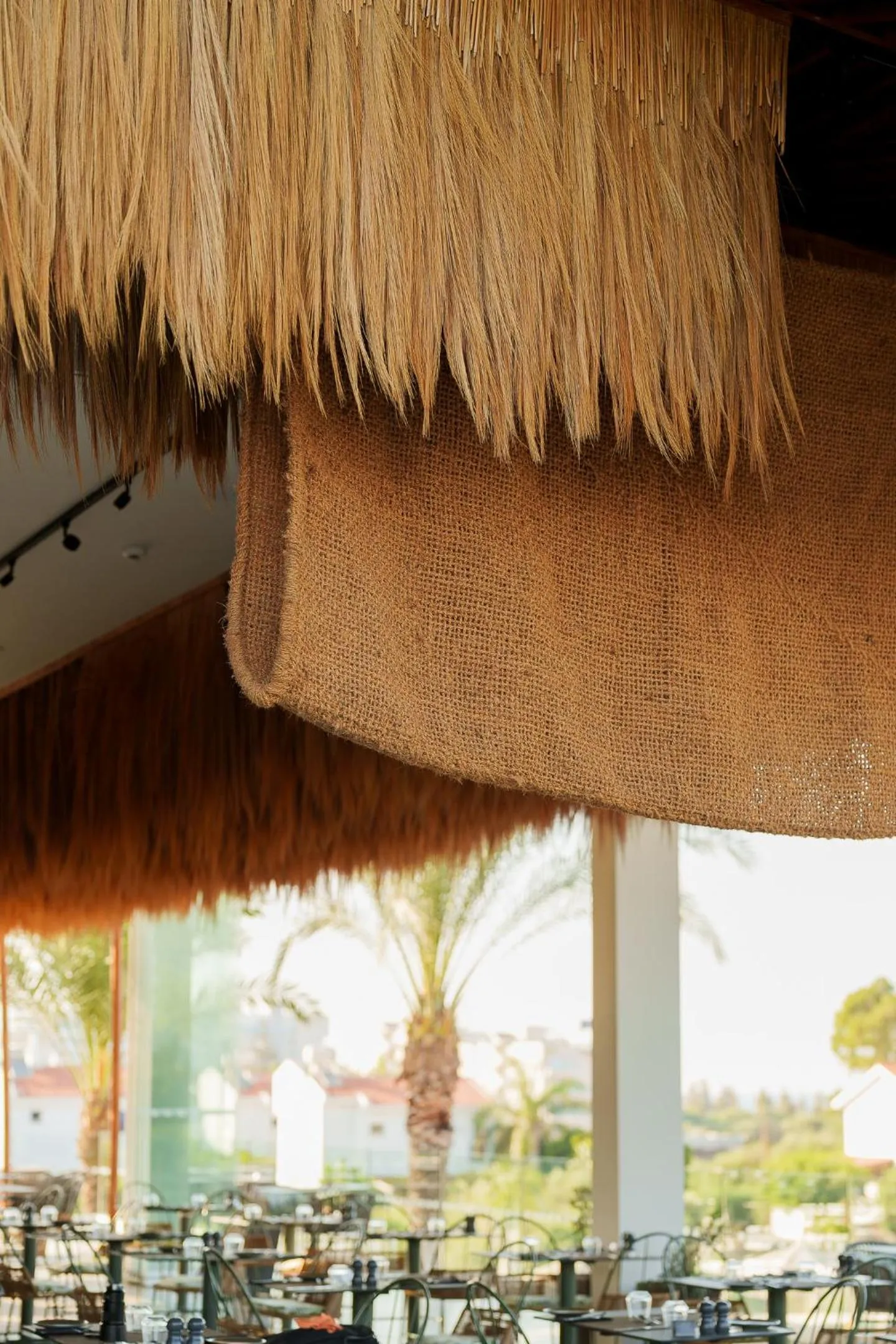 Restaurant/places to eat in Cavo Zoe Seaside Hotel