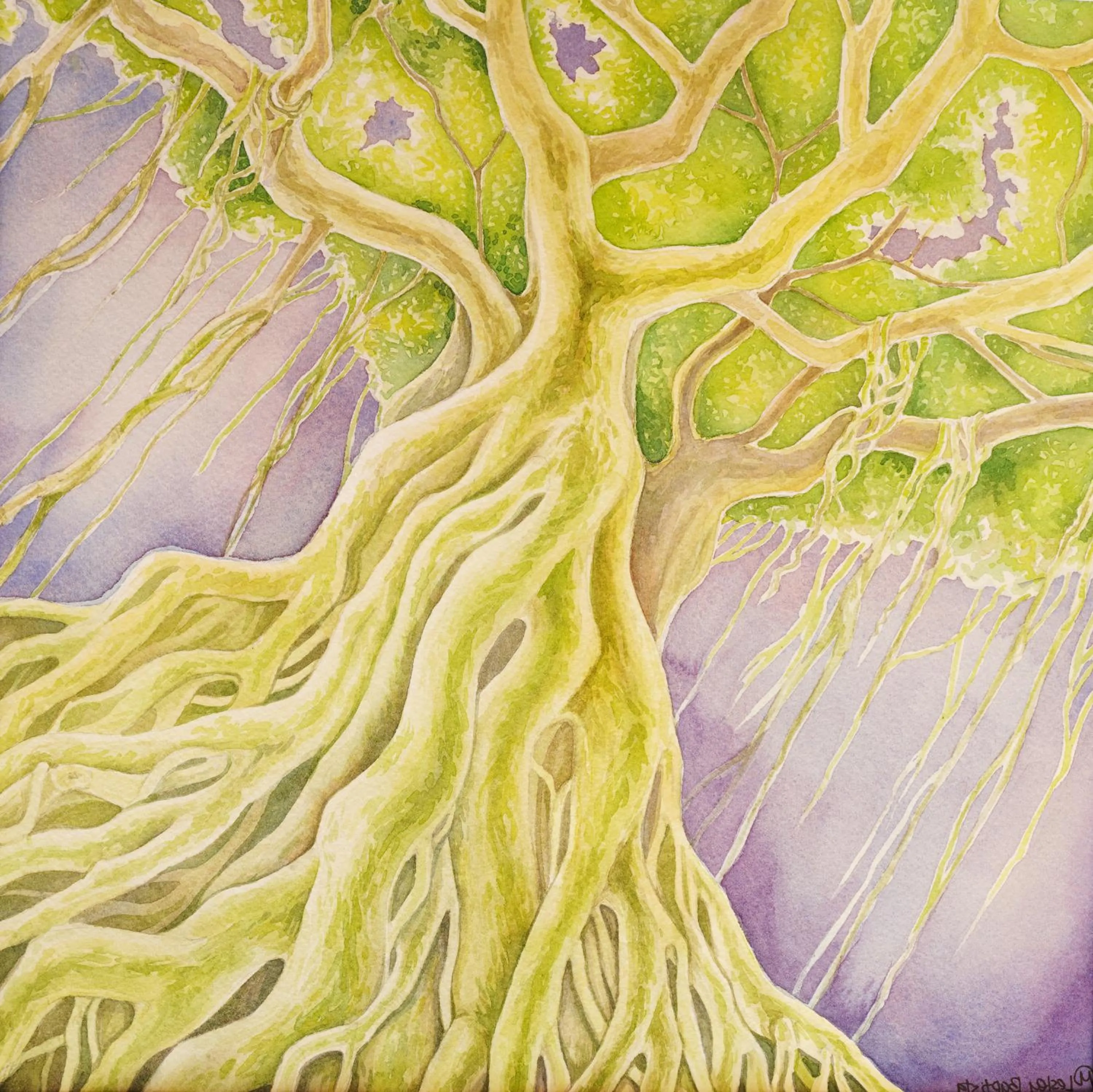 Property building in Imperial Hawaii Resort