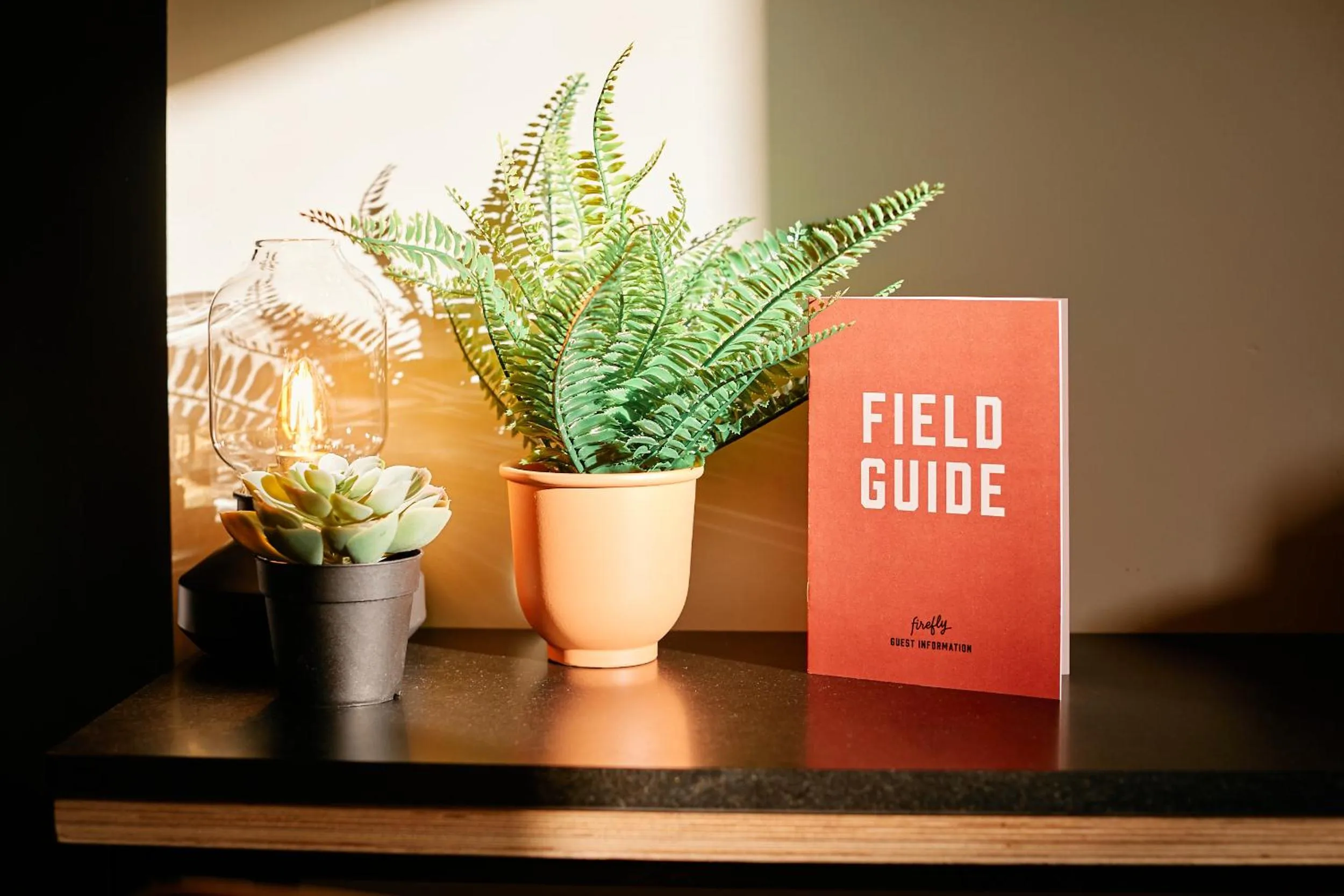 Logo/Certificate/Sign in Firefly Carrolls