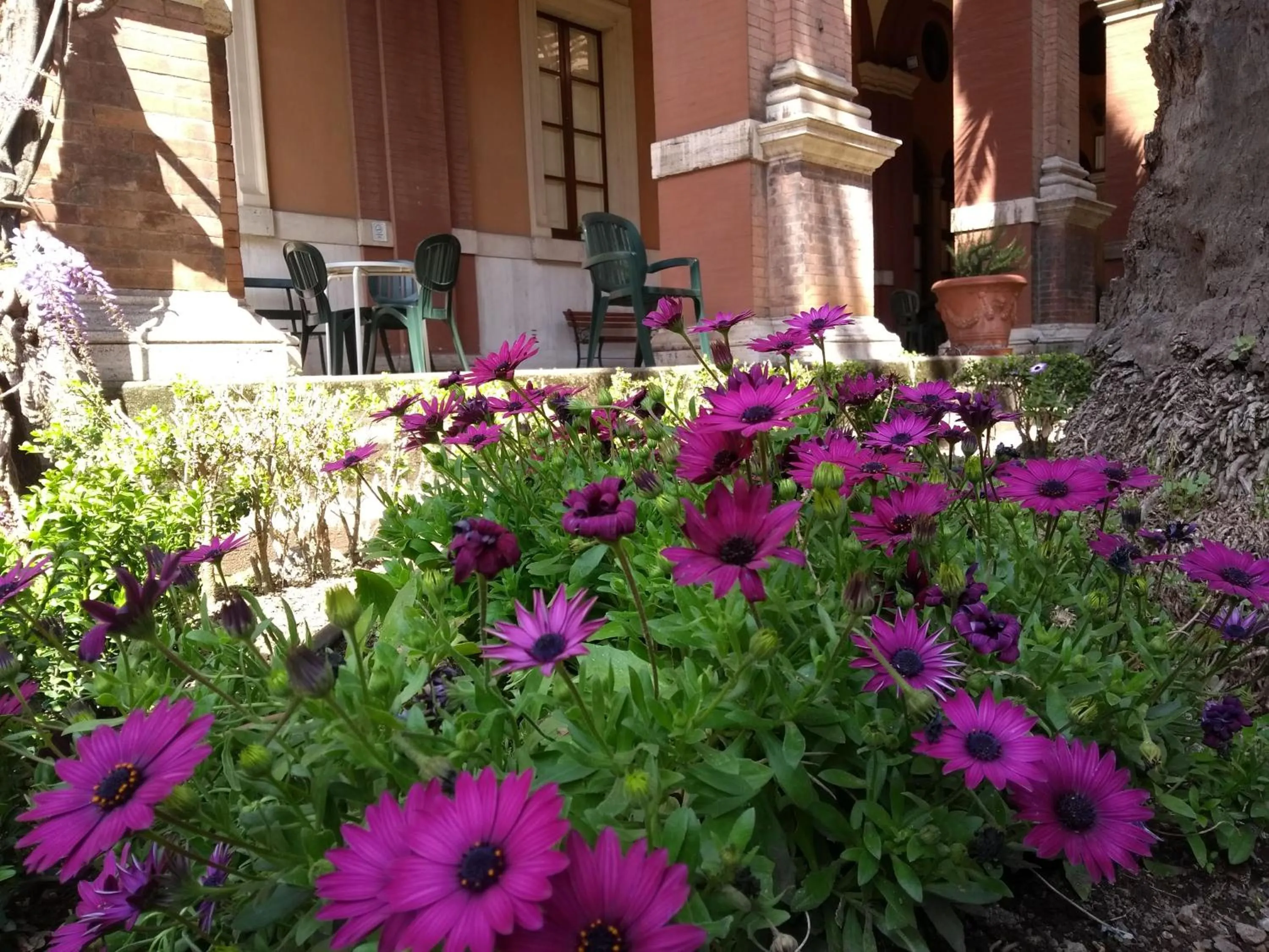 Garden in Casa S. Giuseppe di Cluny