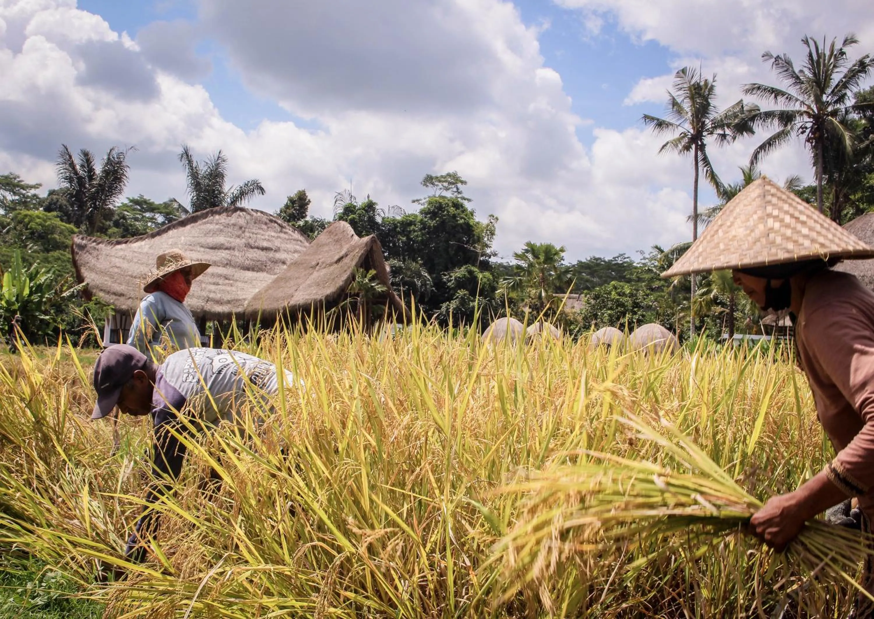 View (from property/room) in Keliki Luxury Lodge