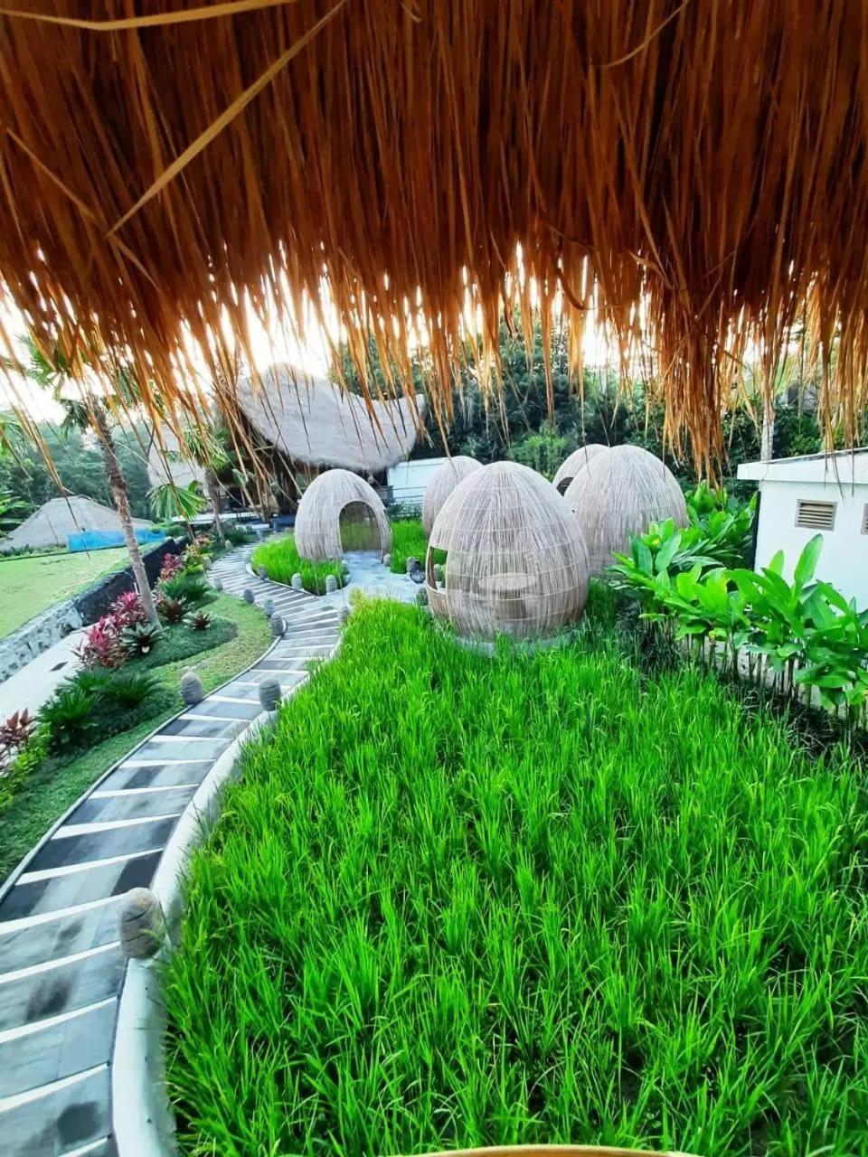 Garden view in Keliki Luxury Lodge