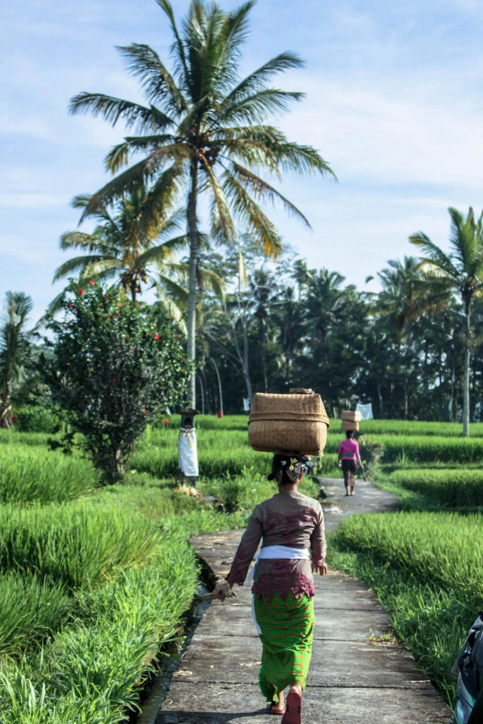 Other in Keliki Luxury Lodge