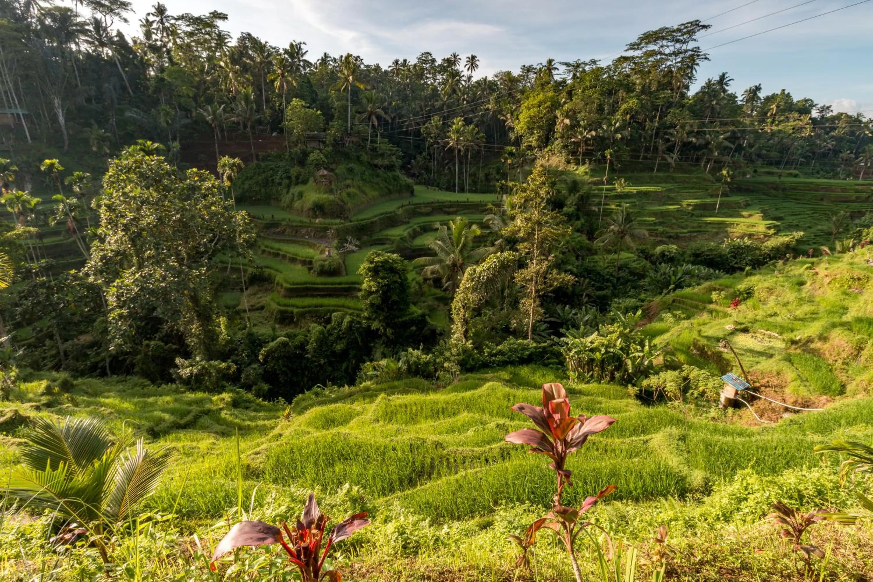 Activities in Keliki Luxury Lodge