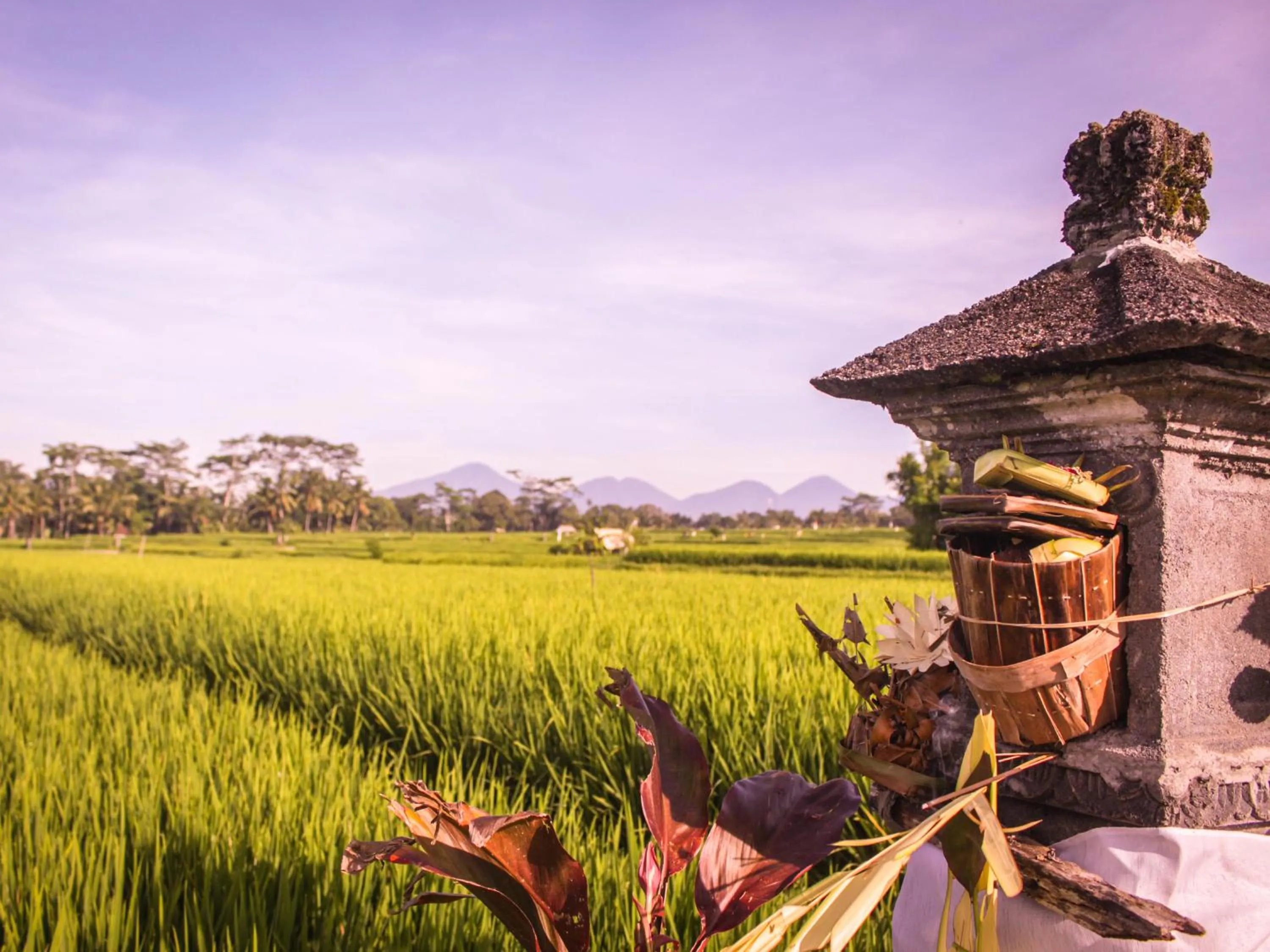 Natural landscape in Keliki Luxury Lodge