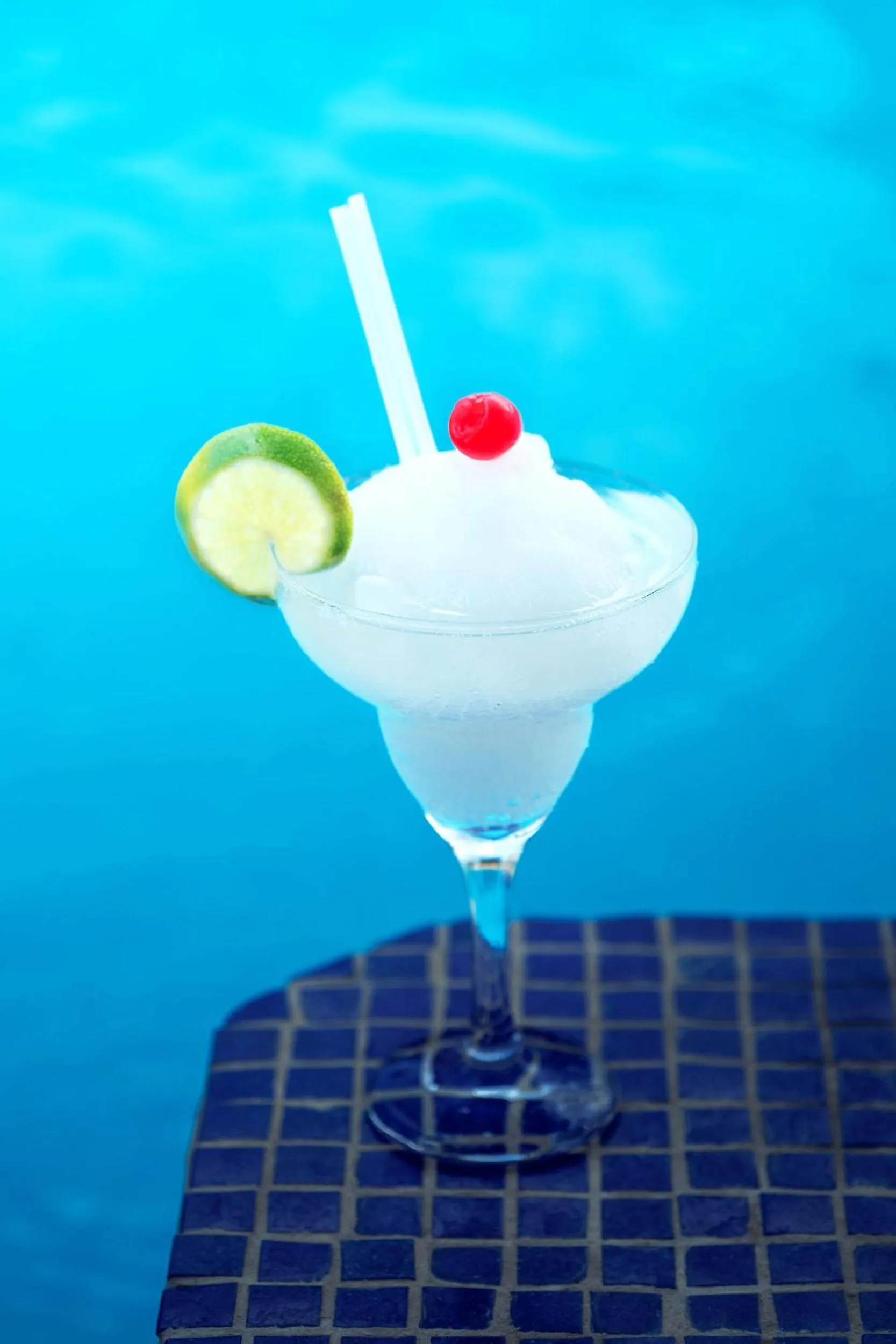 Lounge or bar in Hotel Silvestre