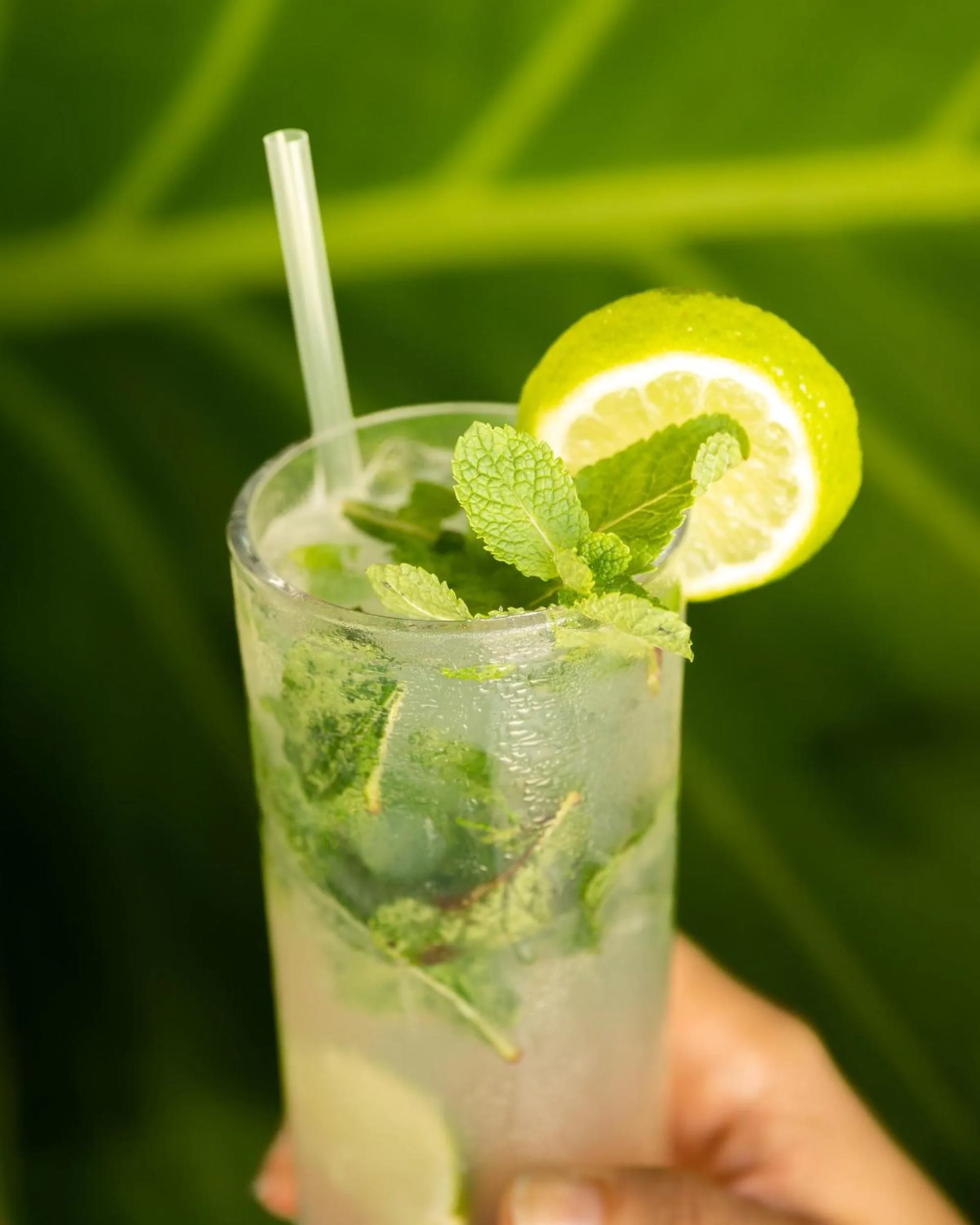 Lounge or bar in Hotel Silvestre