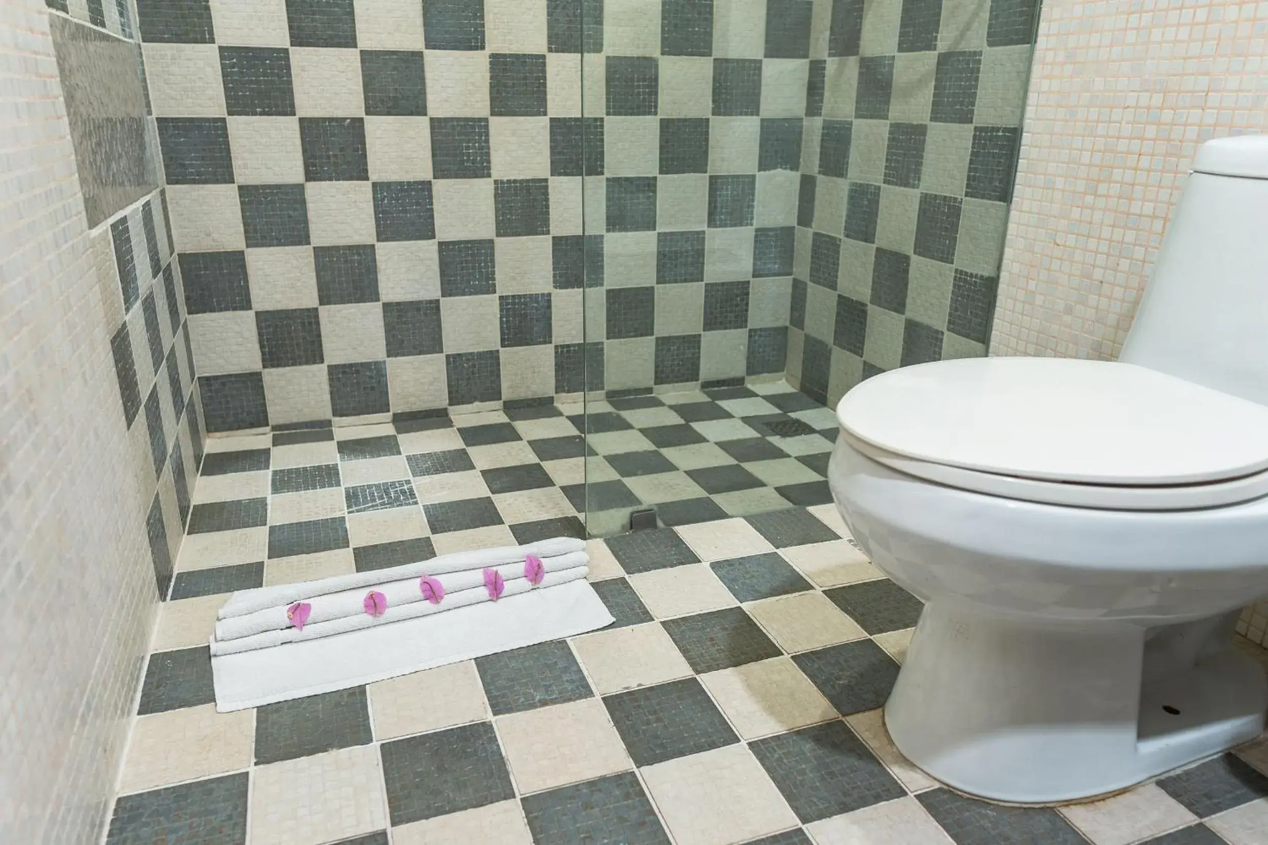 Queen Room with Garden View - single occupancy in Hotel Silvestre Queen Room with Garden View - single occupancy in Hotel Silvestre