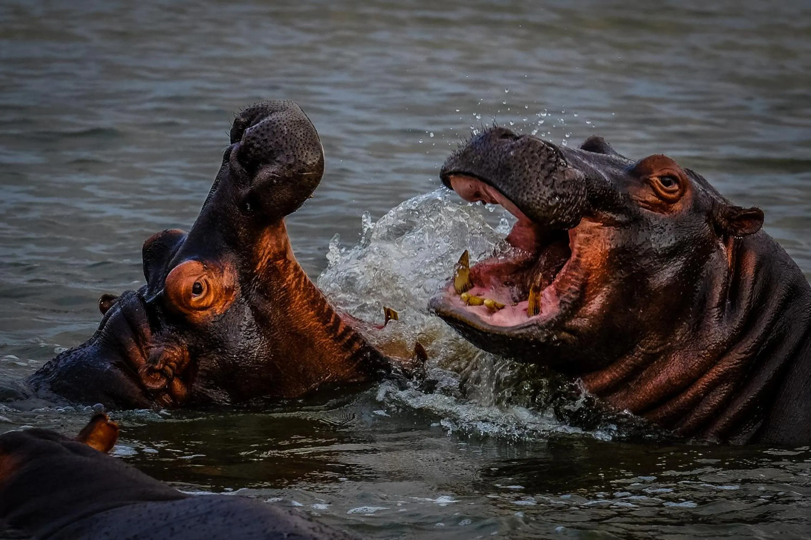 Activities in Santa Lucia Guest House