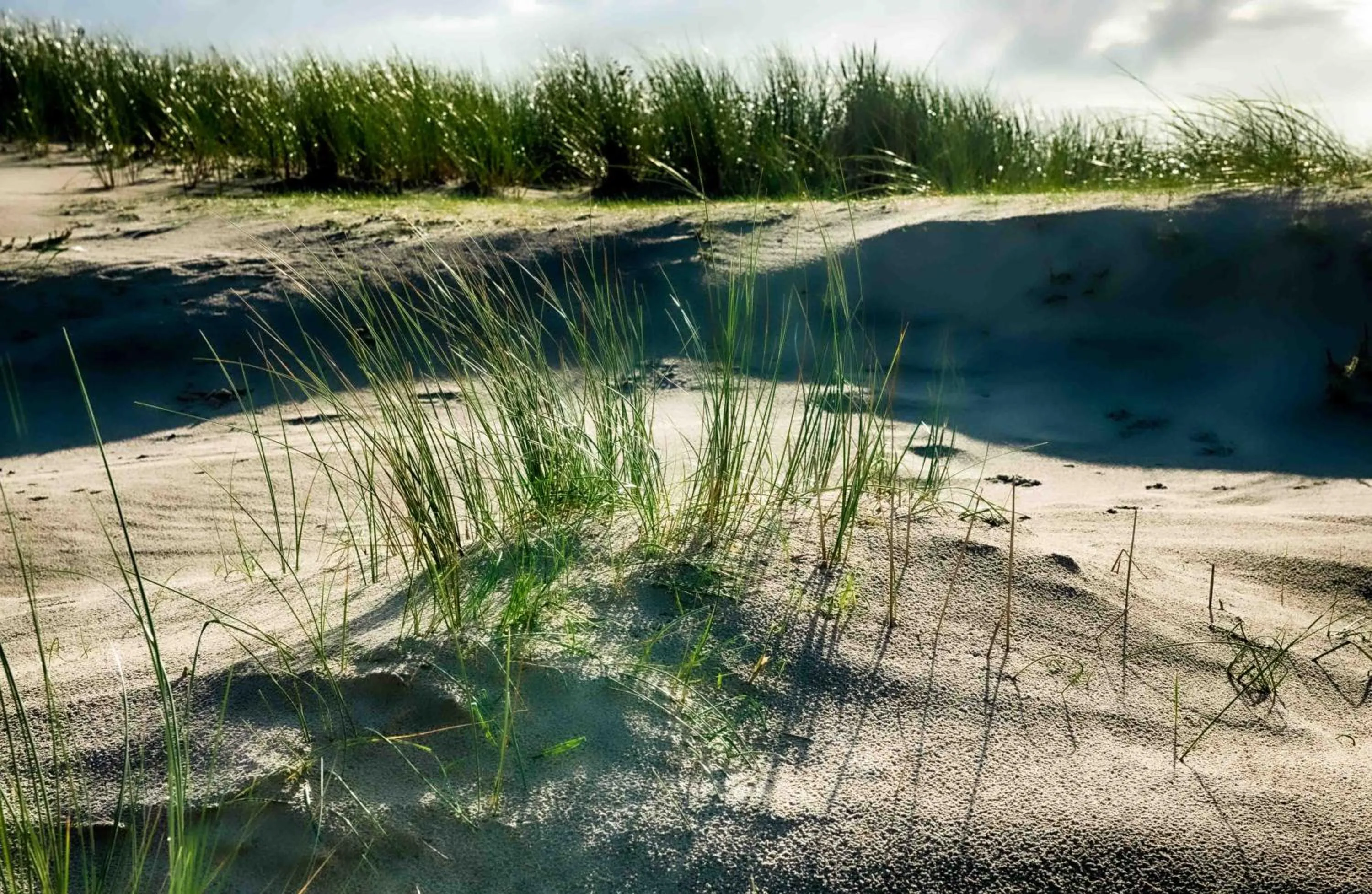 INSEL-LAND-HOTEL MICHAELSEN -Boutique Hotel- im Ostland mit Yoga u Sauna