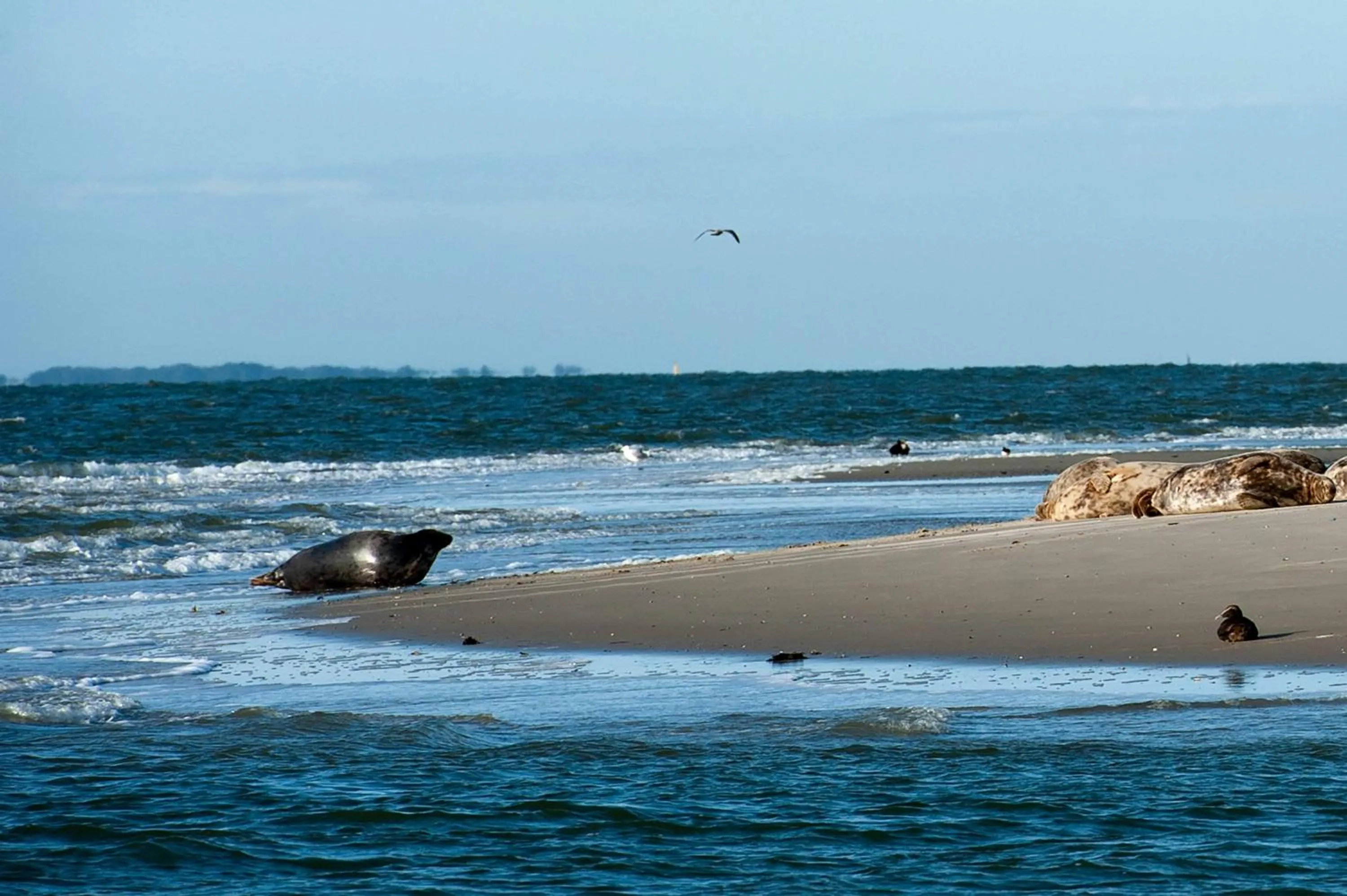 INSEL-LAND-HOTEL MICHAELSEN -Boutique Hotel- im Ostland mit Yoga u Sauna