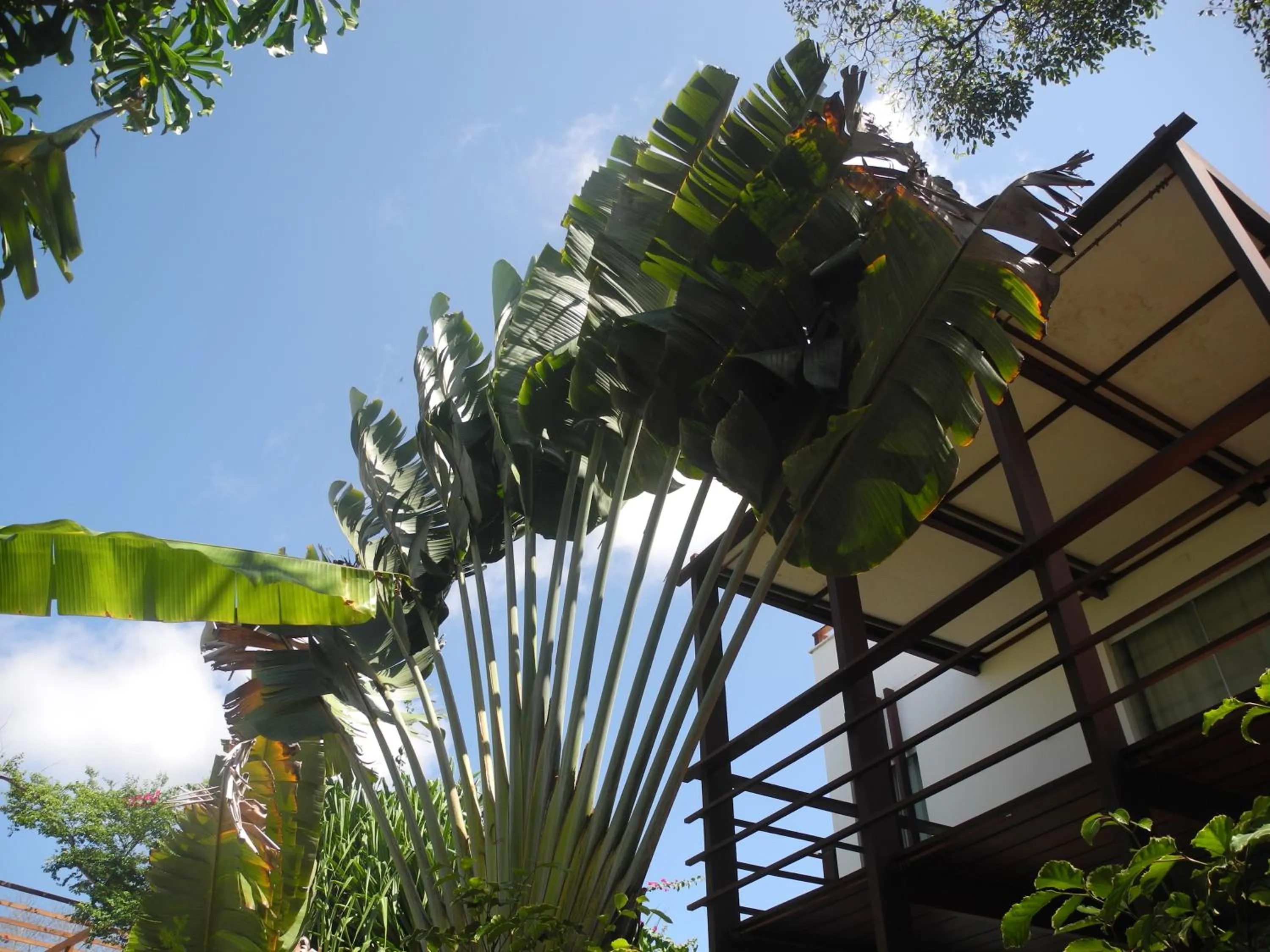 View (from property/room) in La Reserve Design Villa IDA