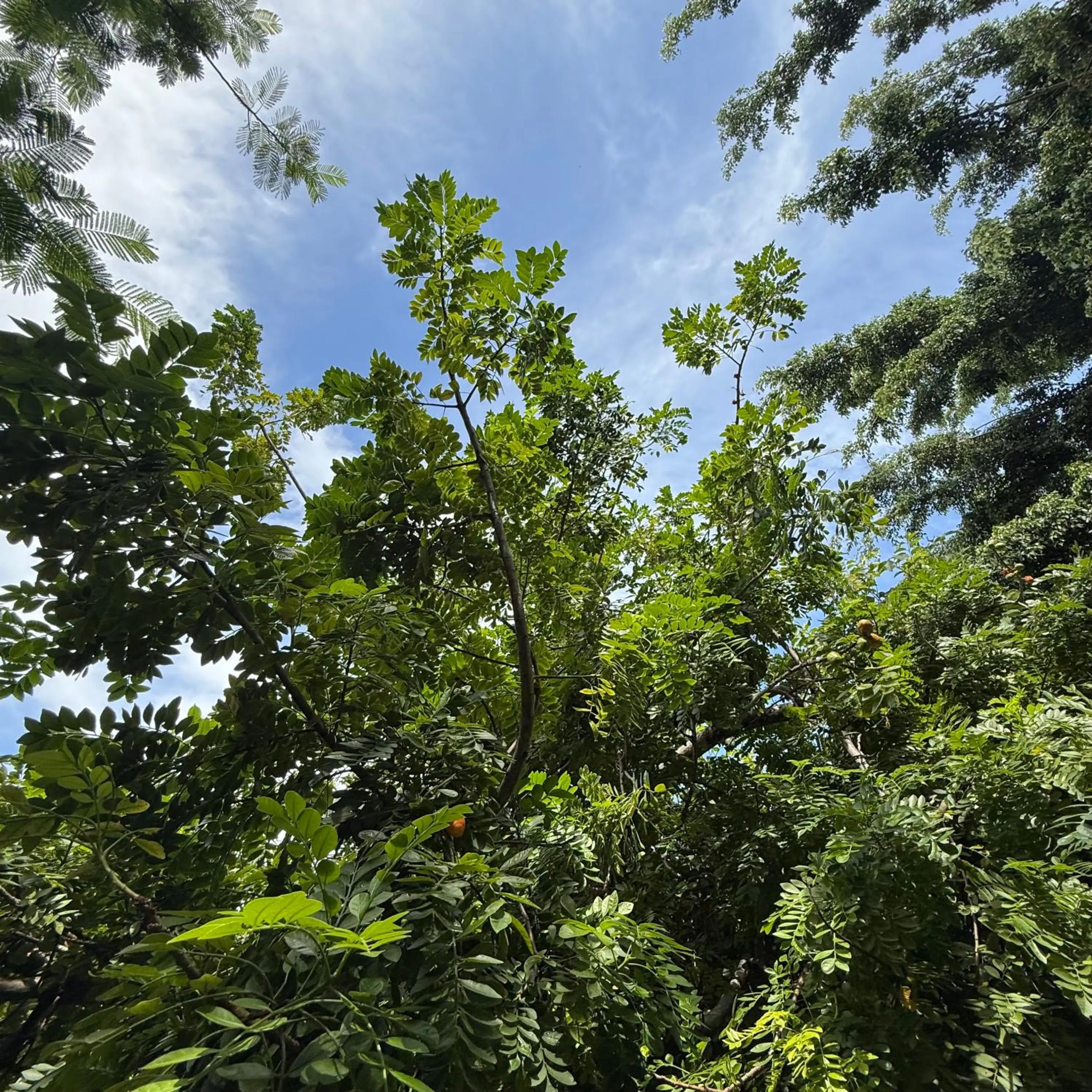 View (from property/room) in La Reserve Design Villa IDA