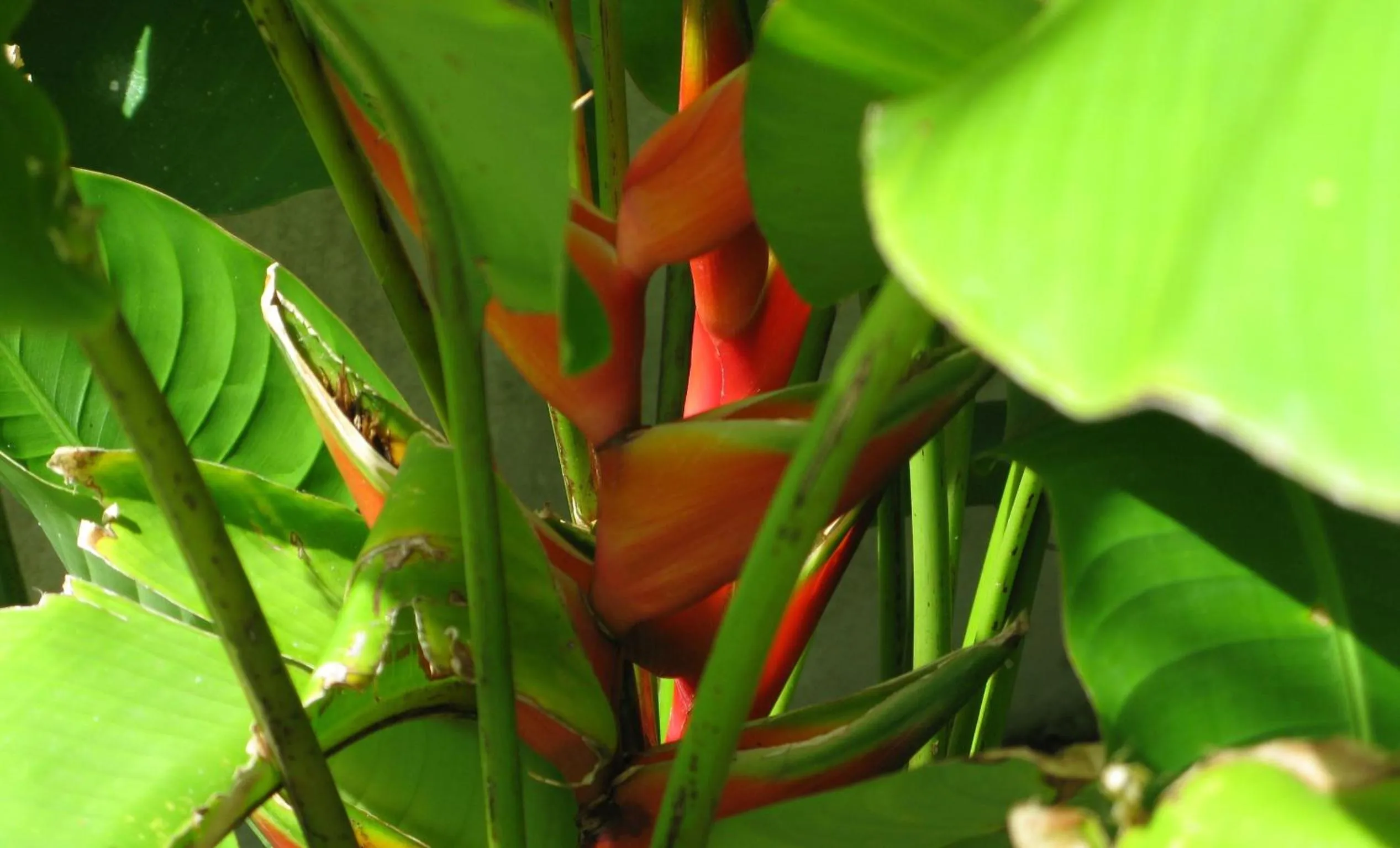 Other in La Reserve Design Villa IDA