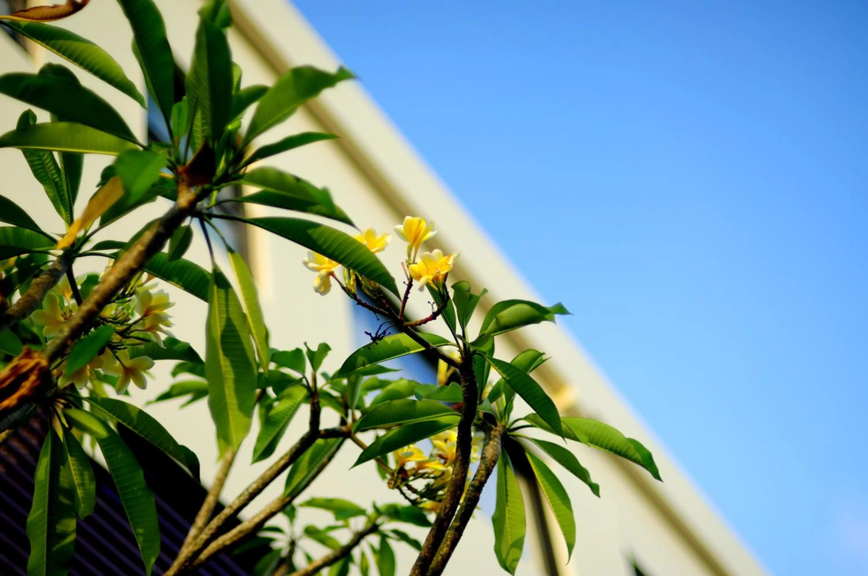Facade/entrance in The Hill Ungasan