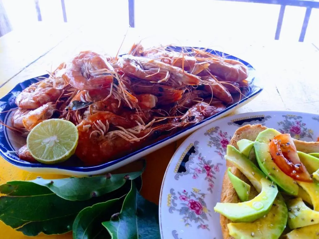 Malika's Yellow House