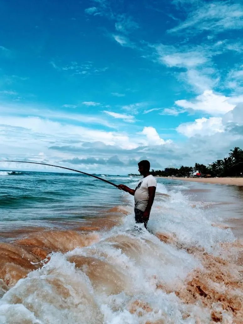Malika's Yellow House