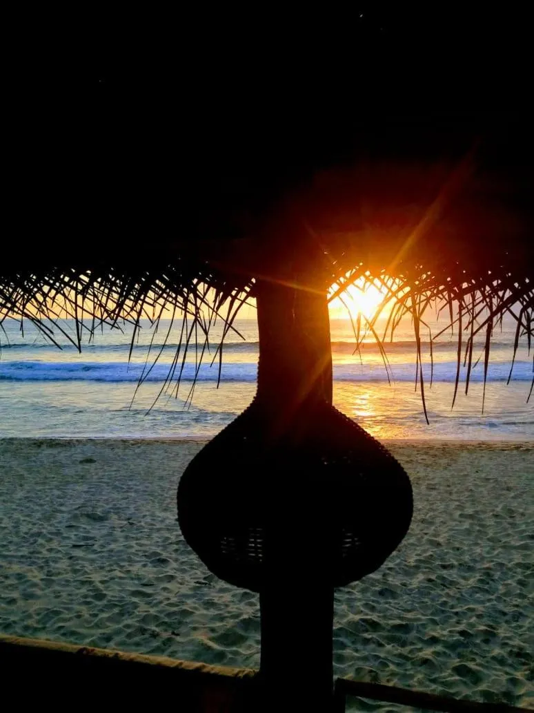 Malika's Yellow House