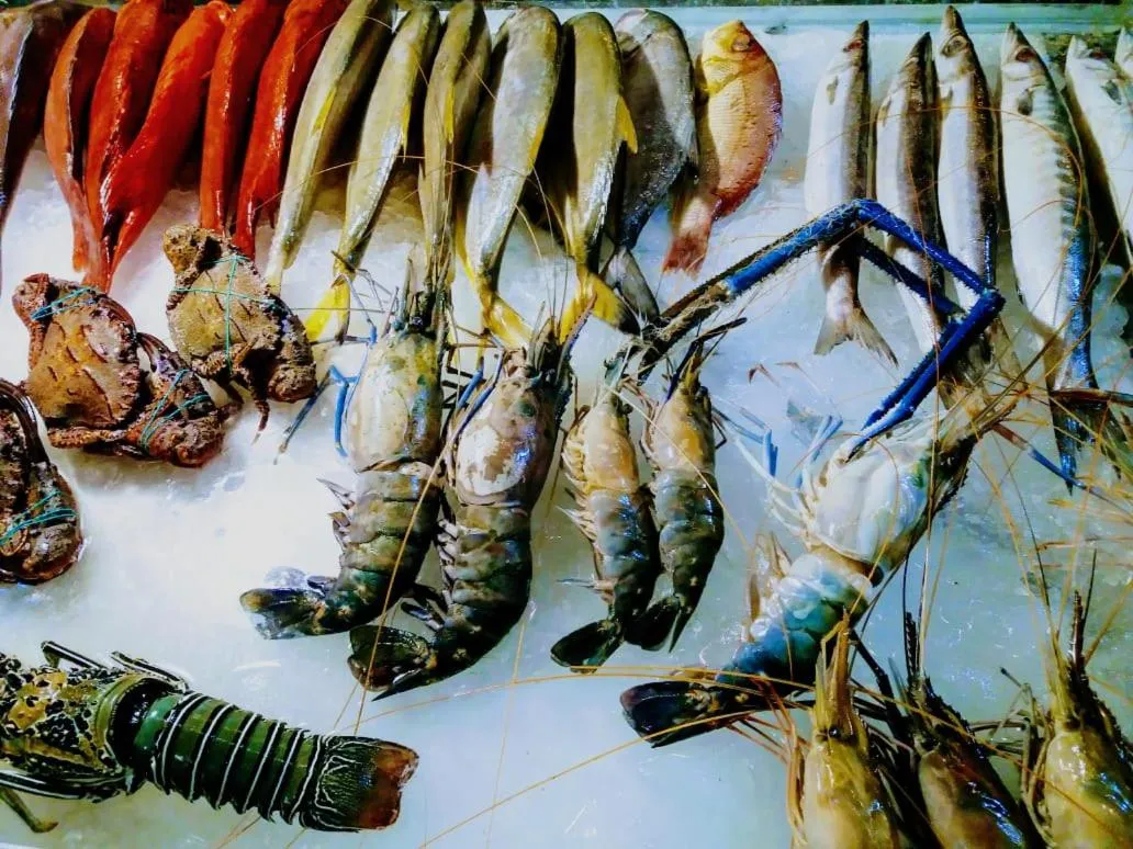 Malika's Yellow House