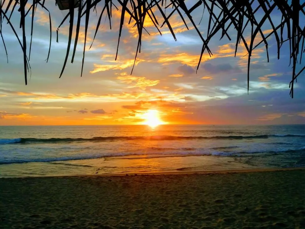 Malika's Yellow House